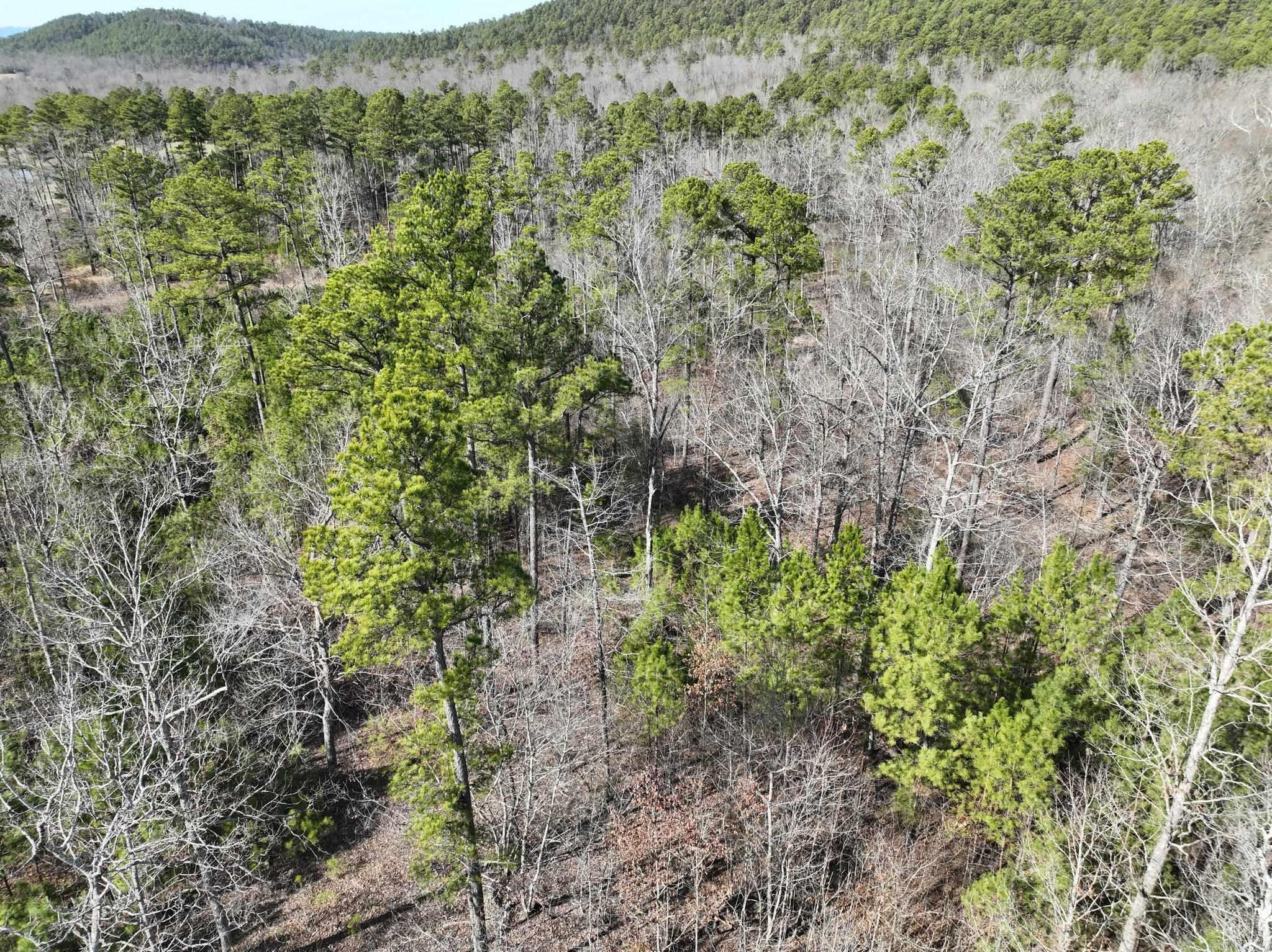 Big Fork Area - Land