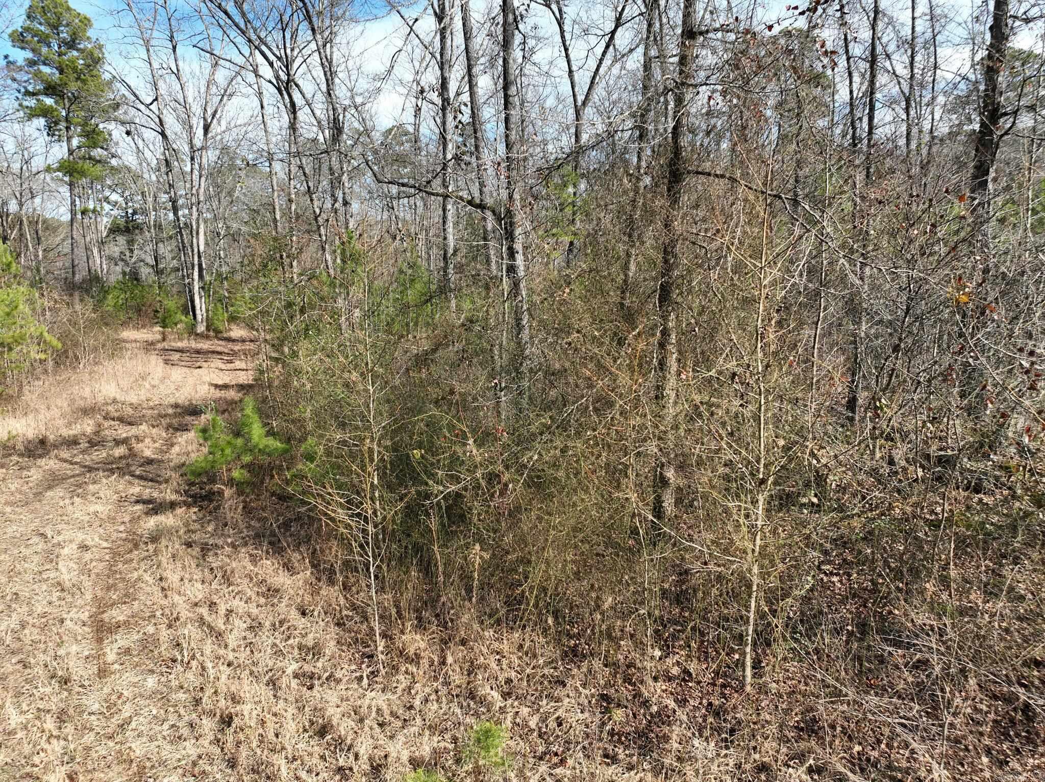 Big Fork Area - Land