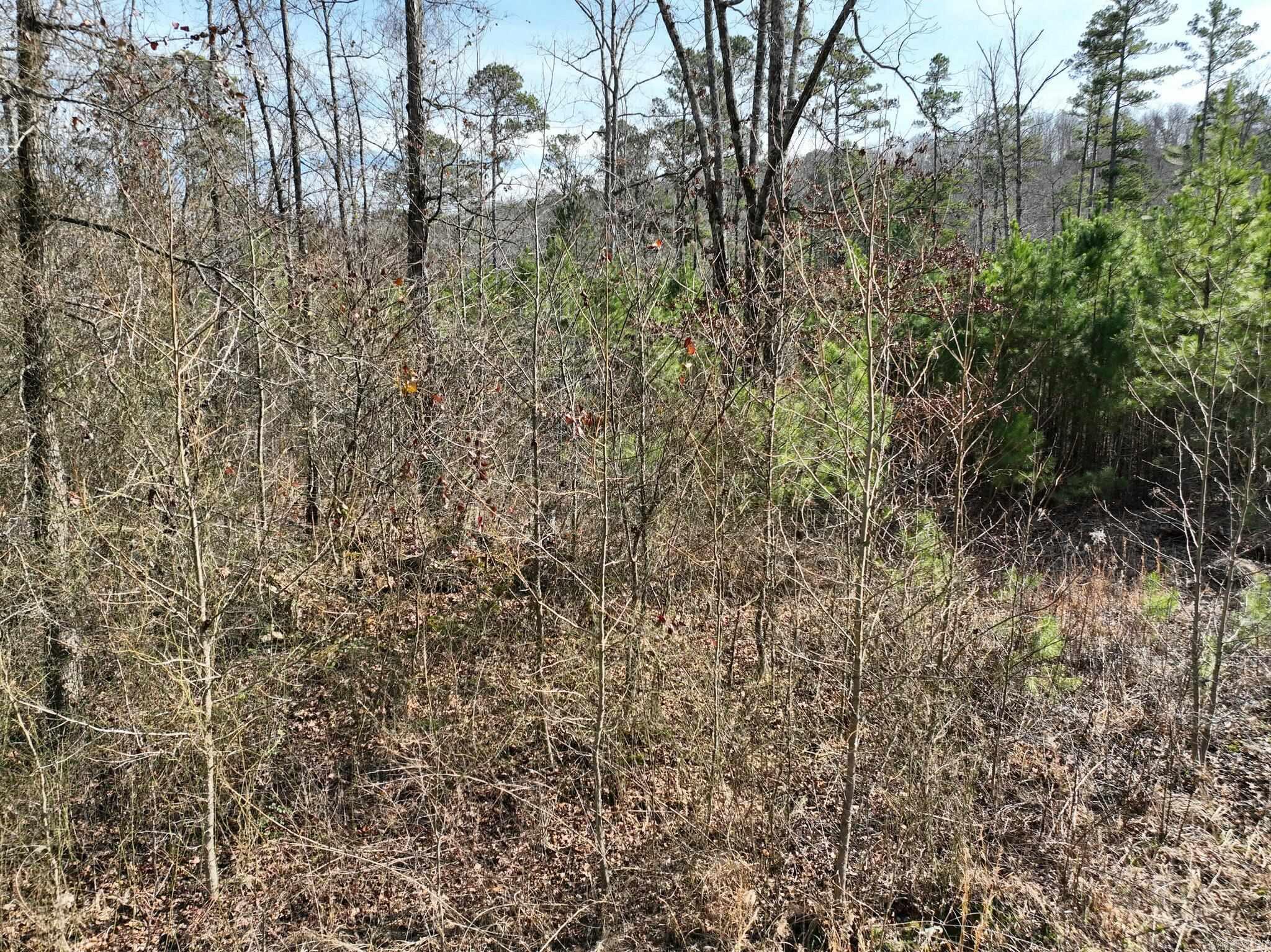 Big Fork Area - Land