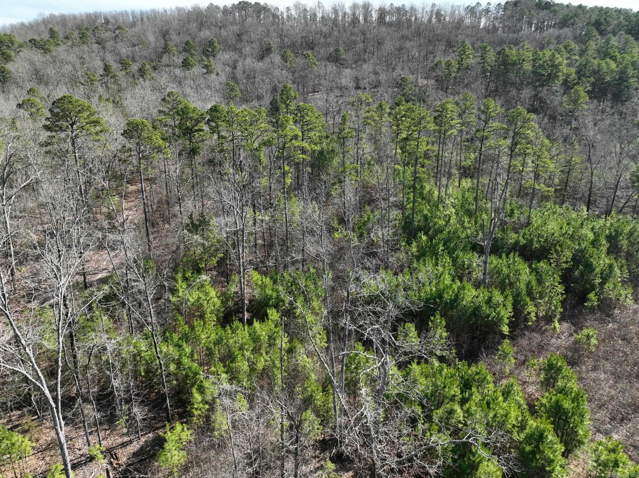 Big Fork Area - Land
