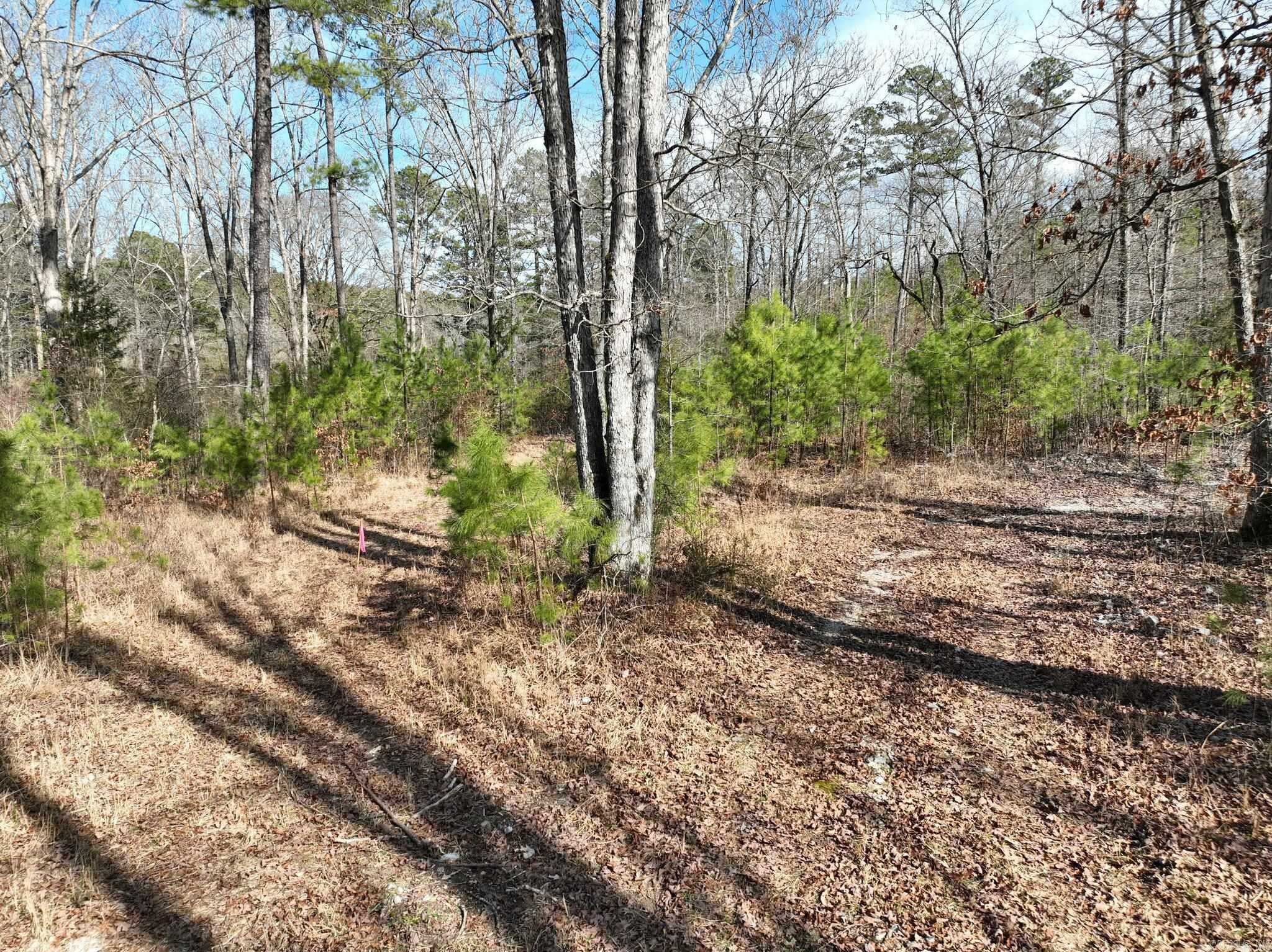 Big Fork Area - Land