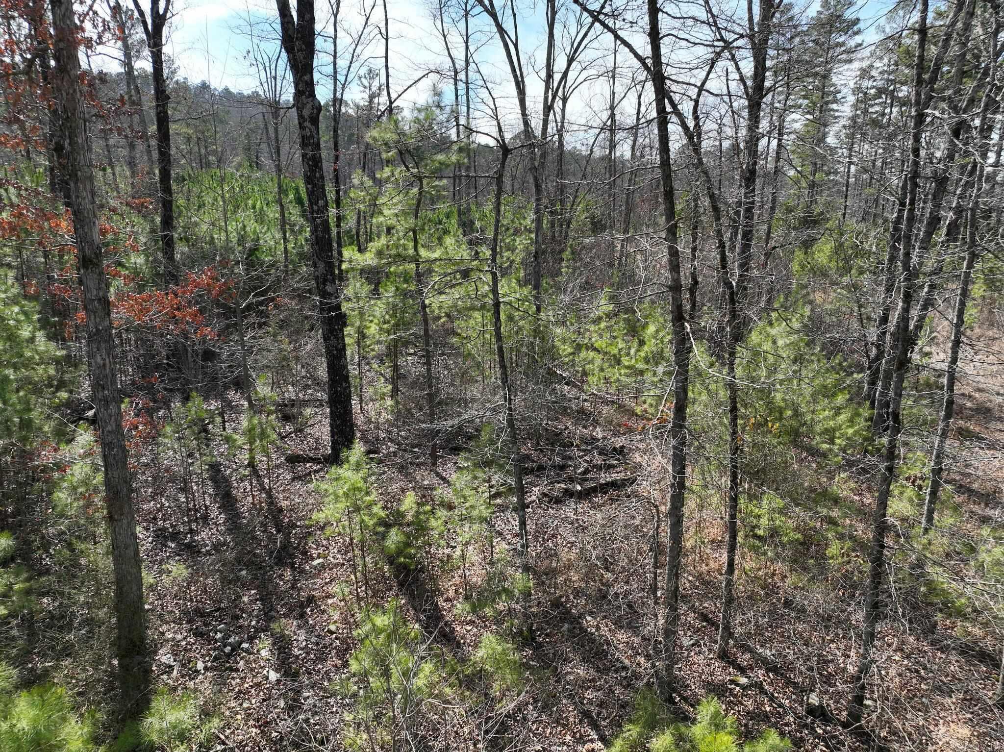 Big Fork Area - Land