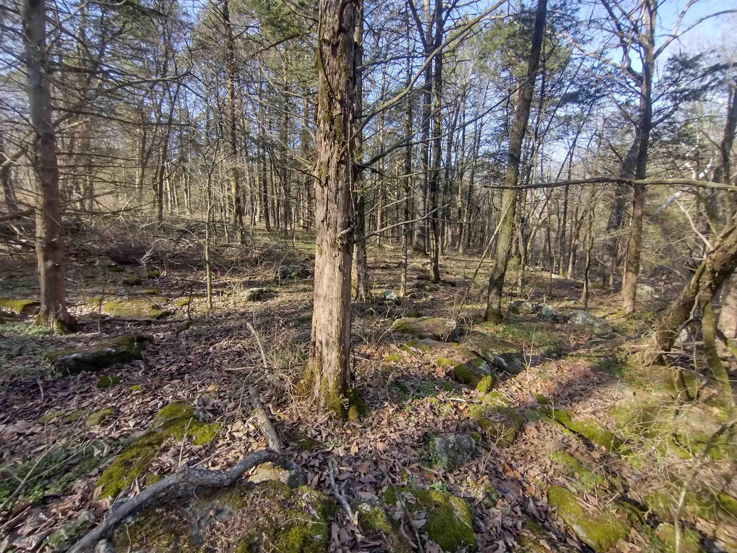 Metes & Bounds - Land