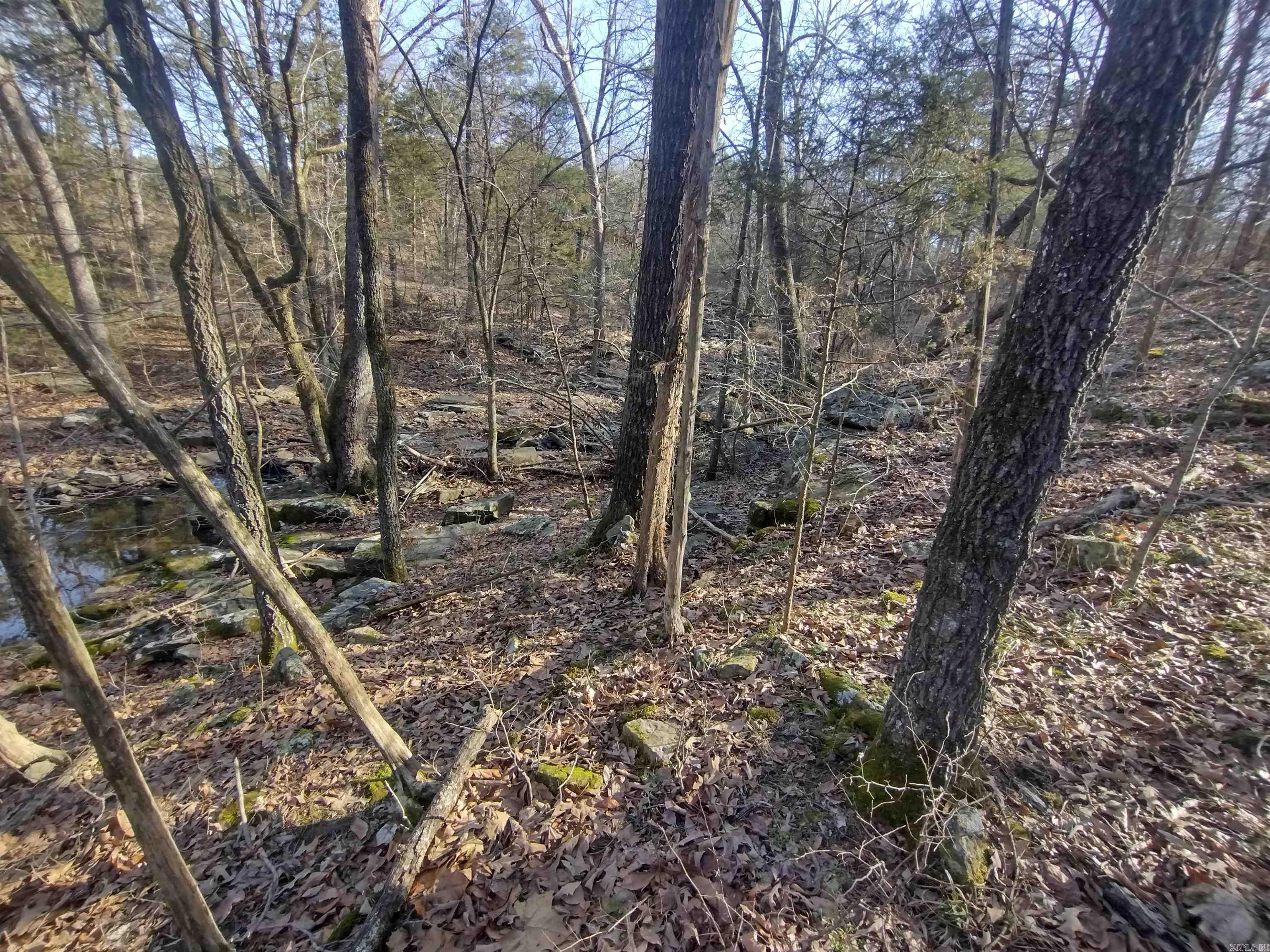 Metes & Bounds - Land