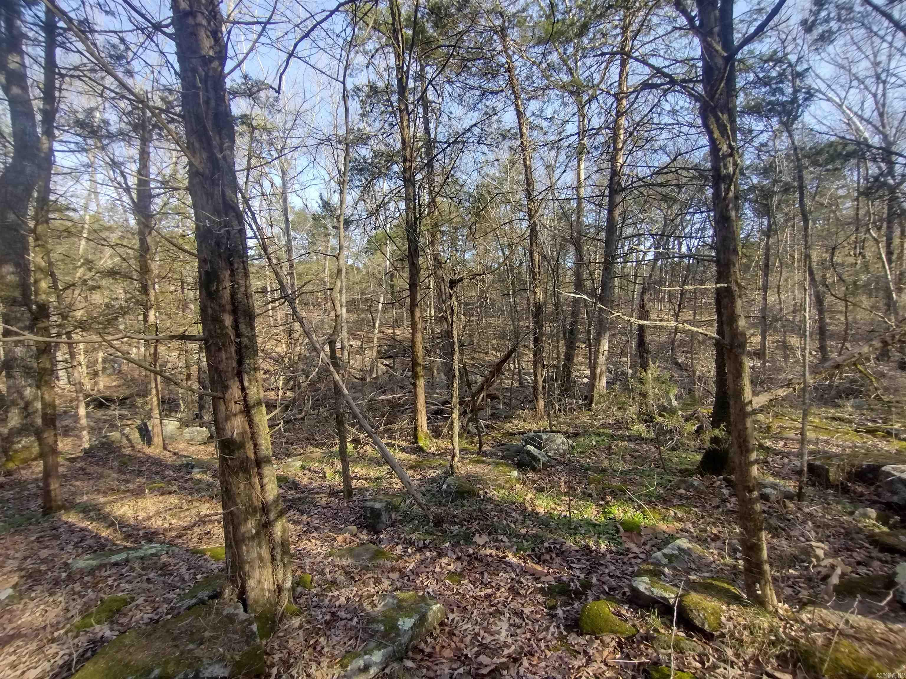 Metes & Bounds - Land