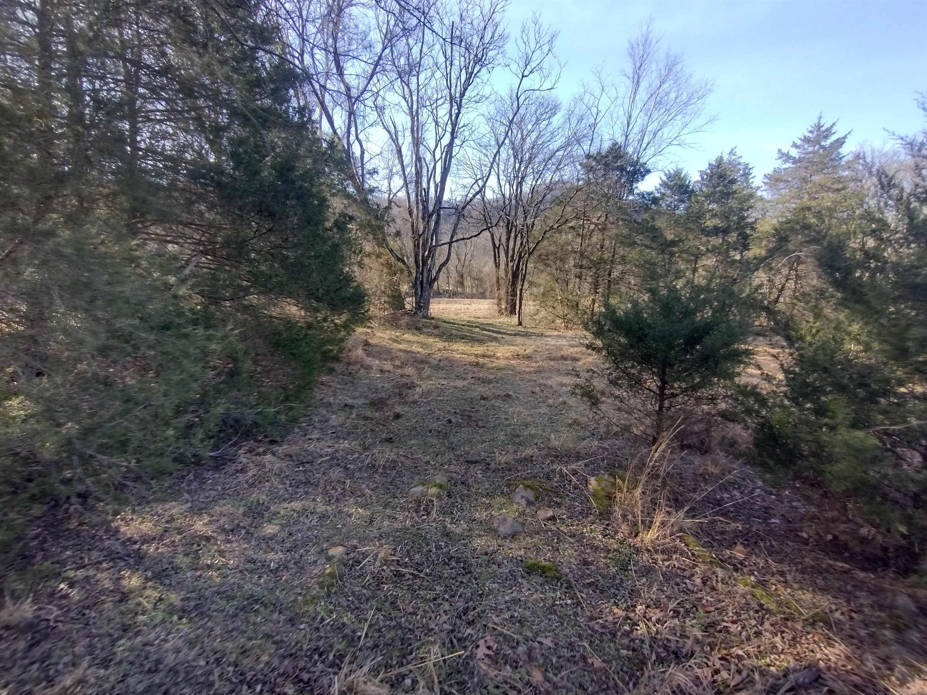 Metes & Bounds - Land