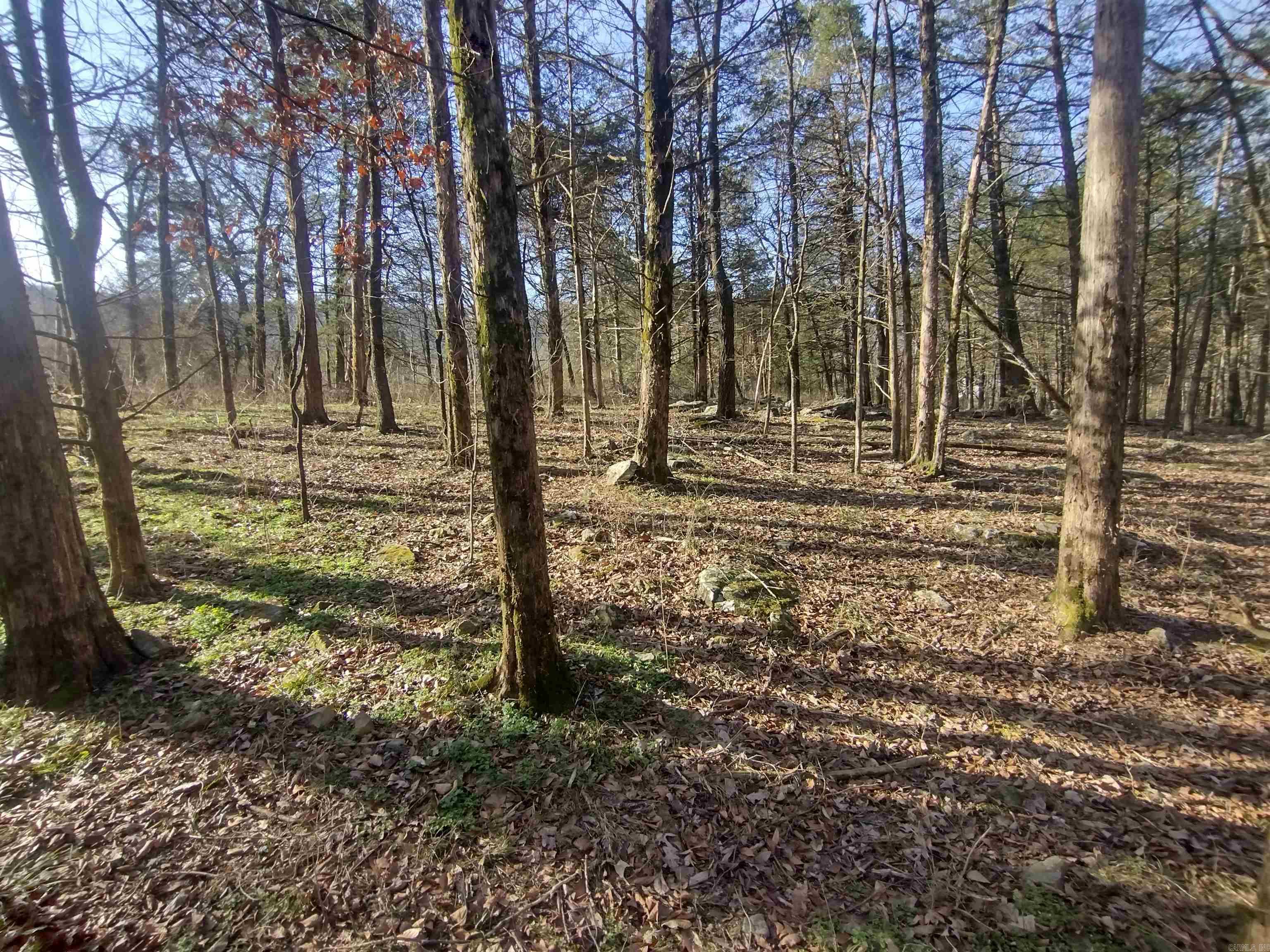 Metes & Bounds - Land