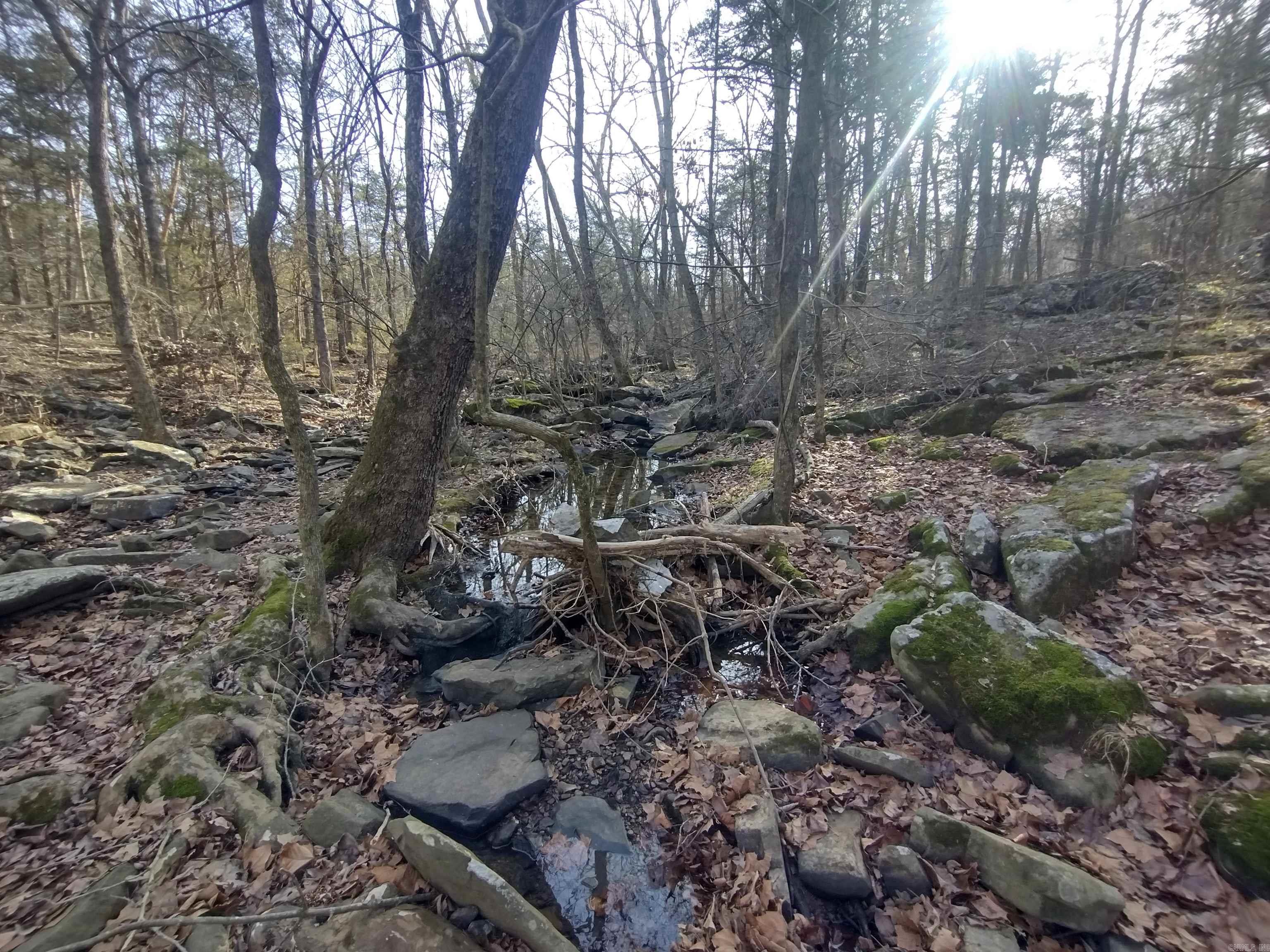 Metes & Bounds - Land