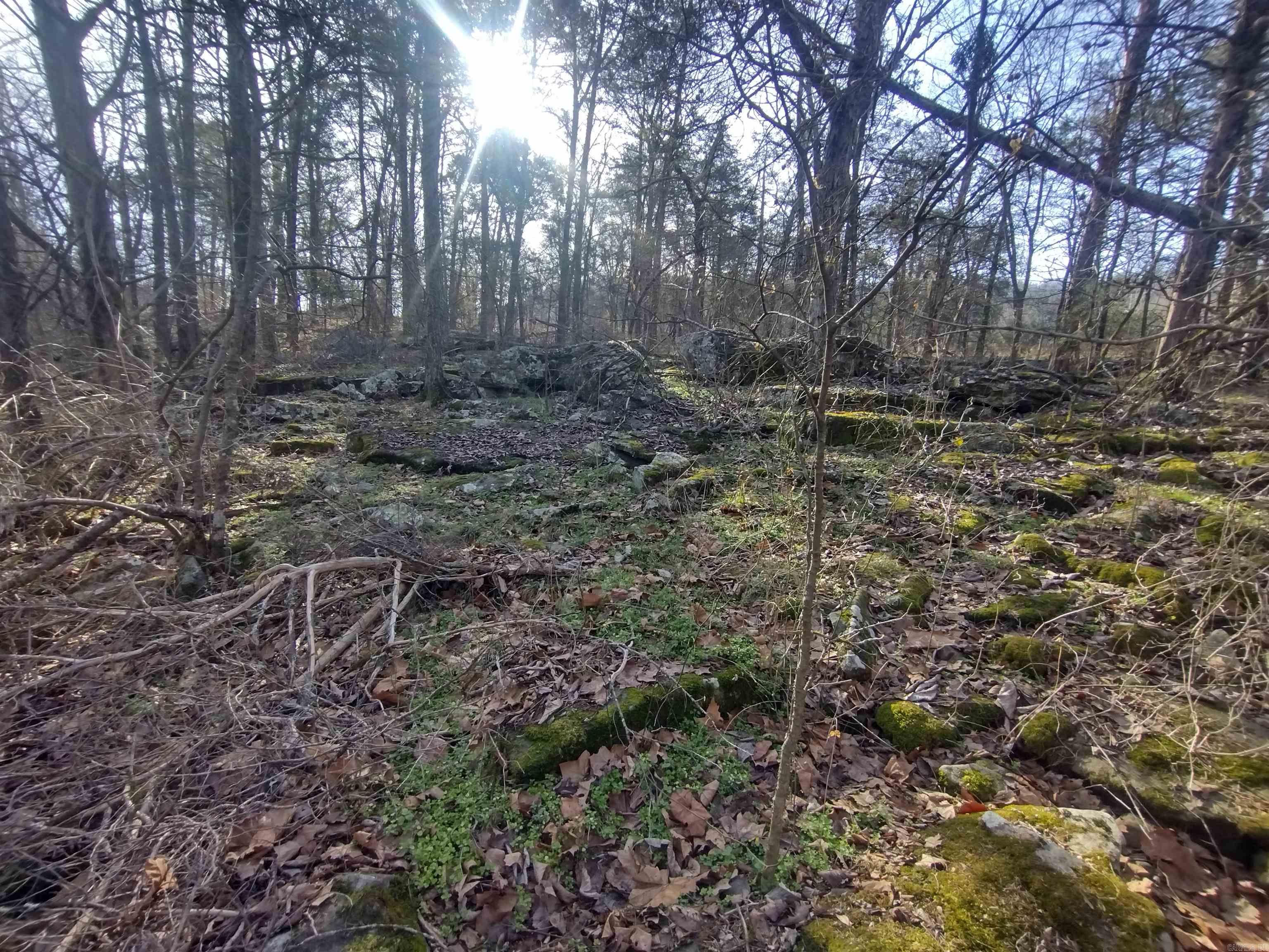 Metes & Bounds - Land