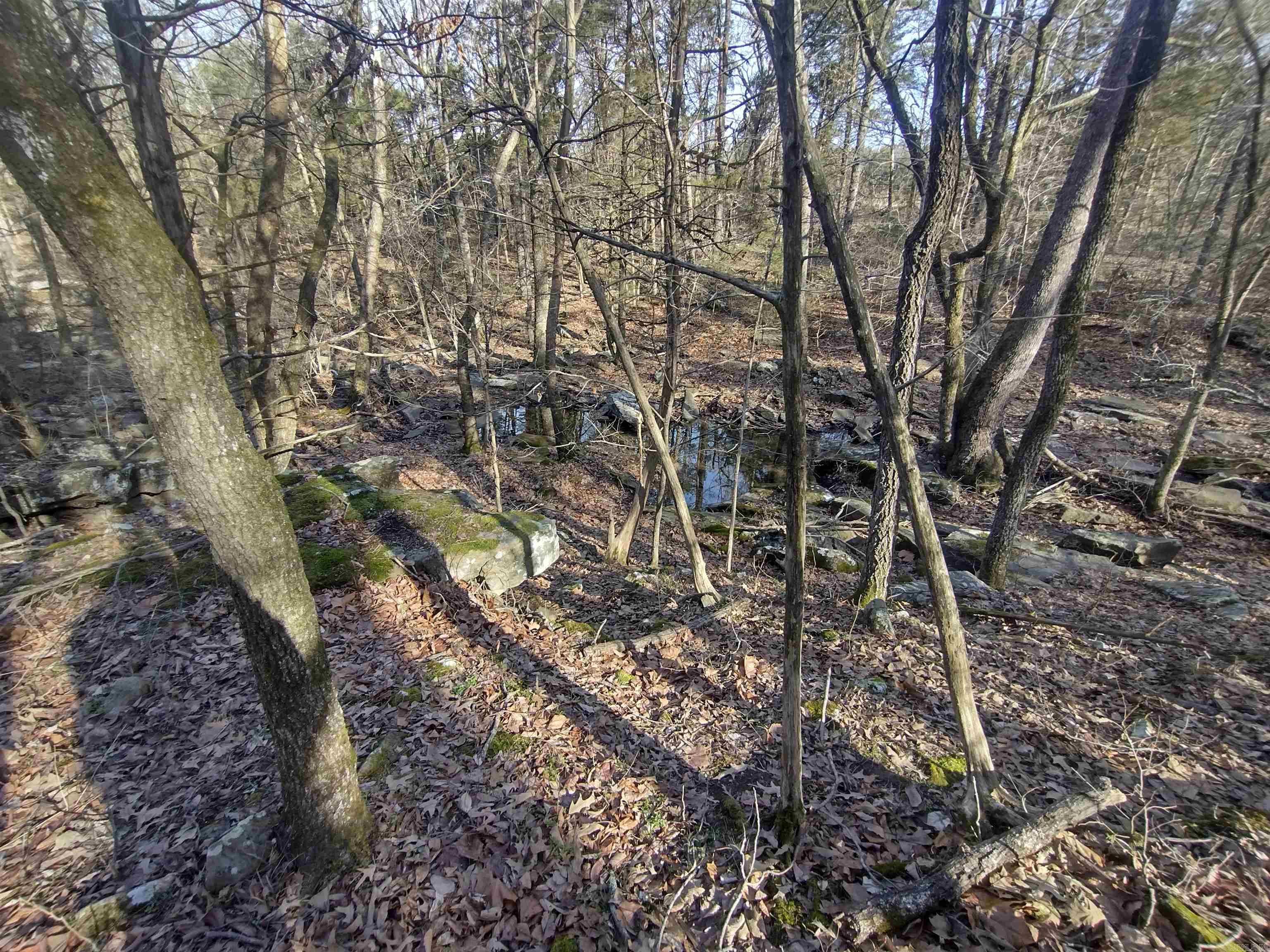 Metes & Bounds - Land