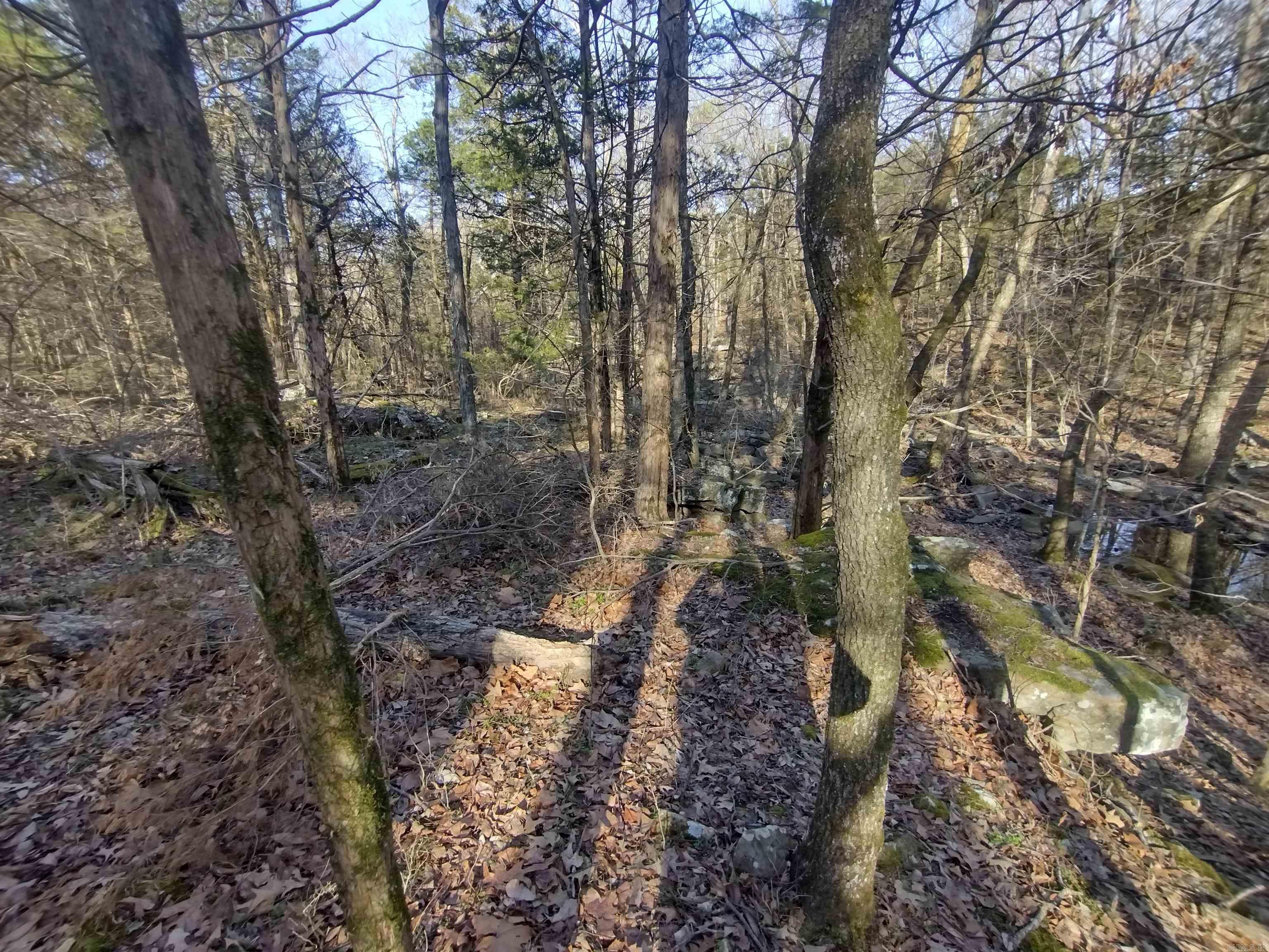 Metes & Bounds - Land