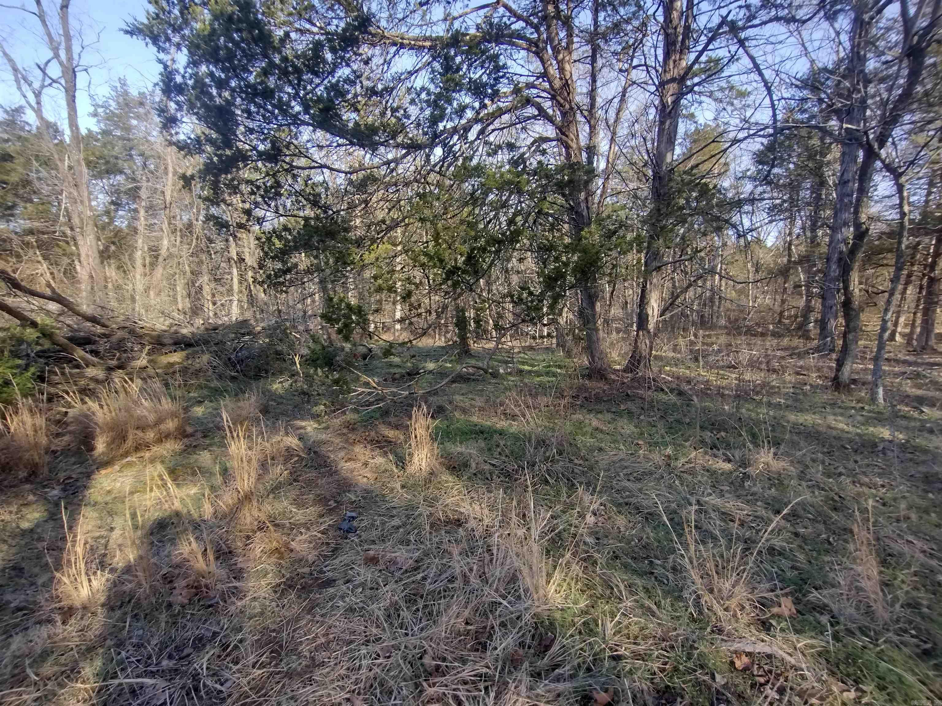 Metes & Bounds - Land