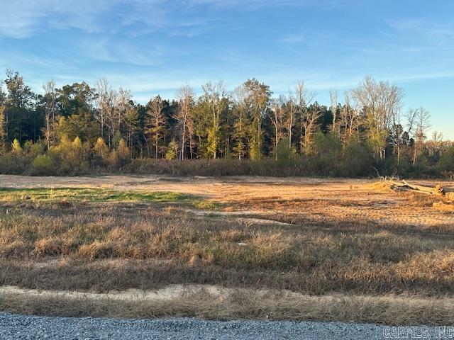 Ready to build your dream home?? Don't miss out on this 1.12 acre lot in Winchester Estates! A building pad included at the cost of the seller!! Bauxite School District!!