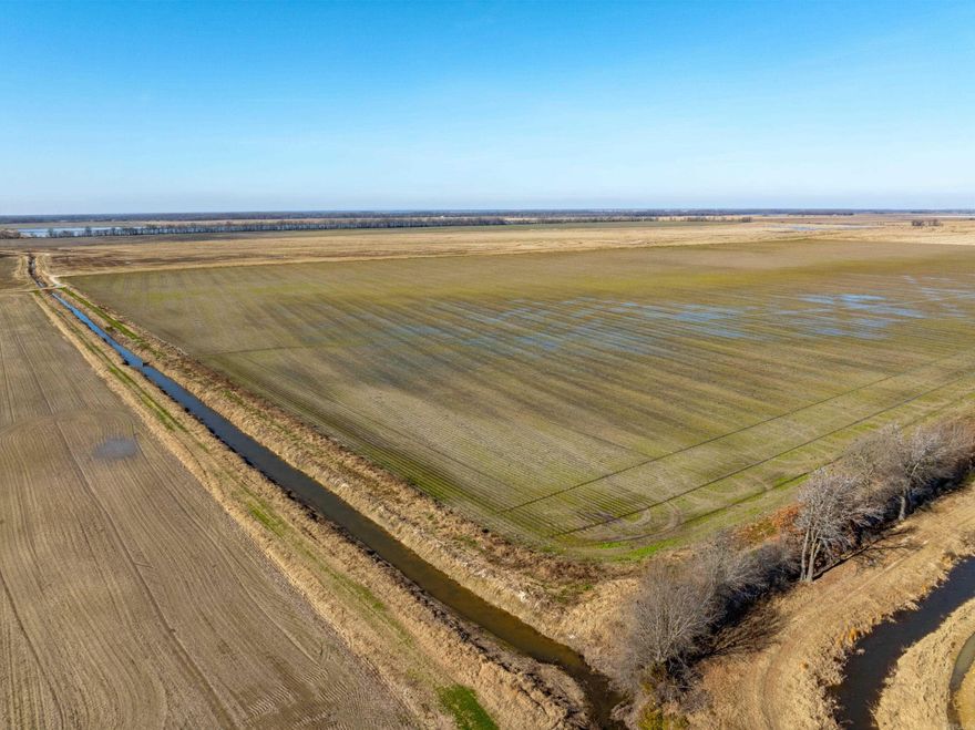 Located in the heart of Arkansas’s Grand Prairie, this 513± acre farm offers the perfect blend of high-producing row crop ground and exceptional duck hunting potential. Positioned northwest of Fair Oaks and southwest of Hickory Ridge, this property features some of the finest white dirt soil in the region—ideal for rice, corn, or soybeans. Divided into three sections, each with its own irrigation well, water management is both efficient and reliable. Beyond its agricultural value, this property sits squarely in the Mississippi Flyway, surrounded by prime waterfowl habitat. 300–400 acres can be flooded for duck hunting, and a pit blind with control structure is already in place. With the White, Cache, and L’Anguille Rivers nearby and multiple Wildlife Management Areas within minutes—Hurricane Lake, Cache River, Bayou DeView, Black Swamp, and Bald Knob—this area is known for world-class waterfowl action. Electric service runs along the north boundary, offering an ideal spot for a cabin or hunting lodge. Whether you’re a row crop producer, investor, or avid hunter, this property delivers unmatched versatility and opportunity—a rare chance to own productive farmland with hunting!!