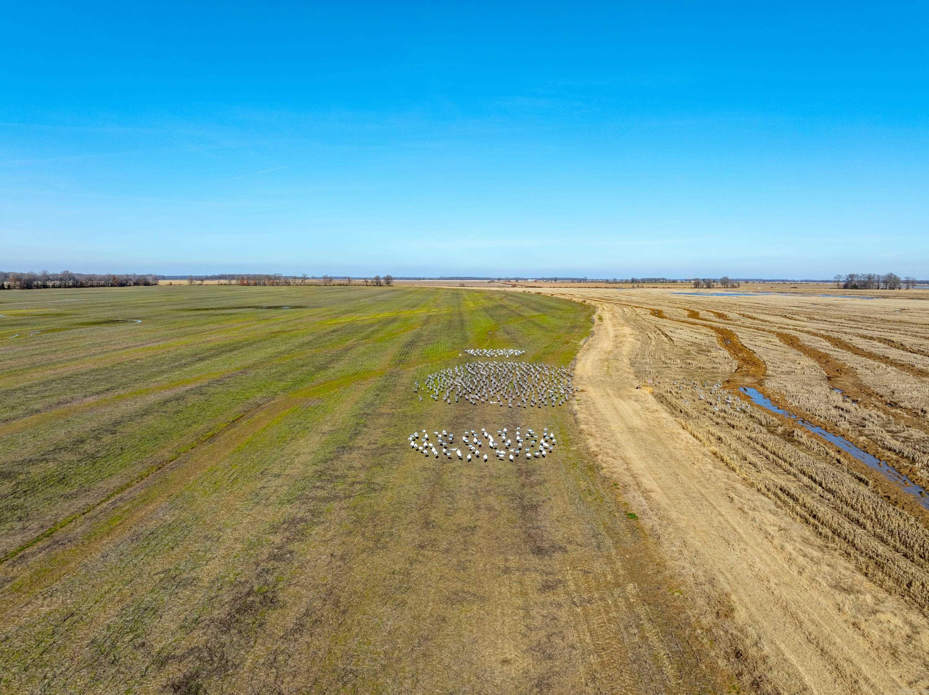 Metes & Bounds - Farm