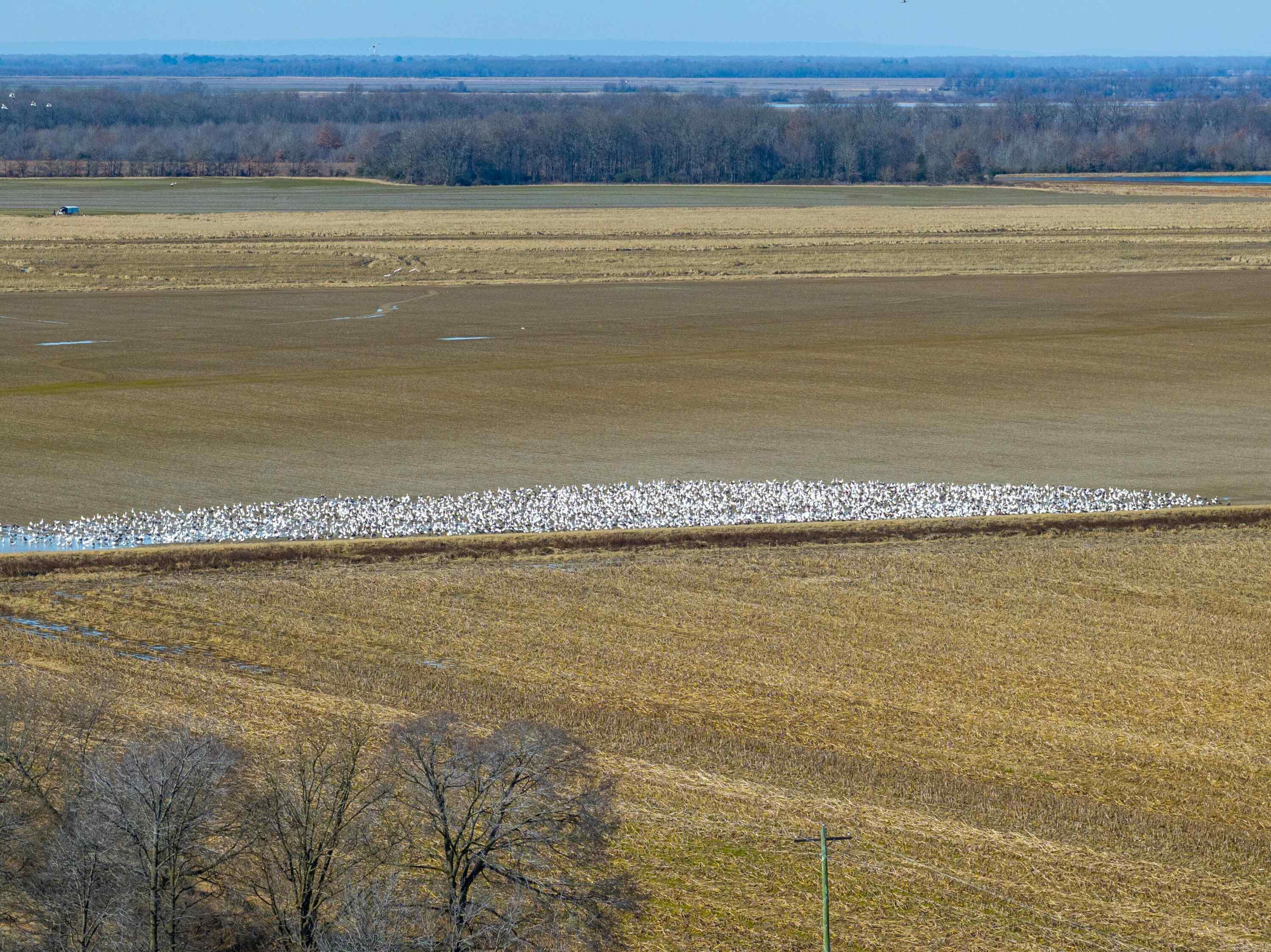 Metes & Bounds - Farm