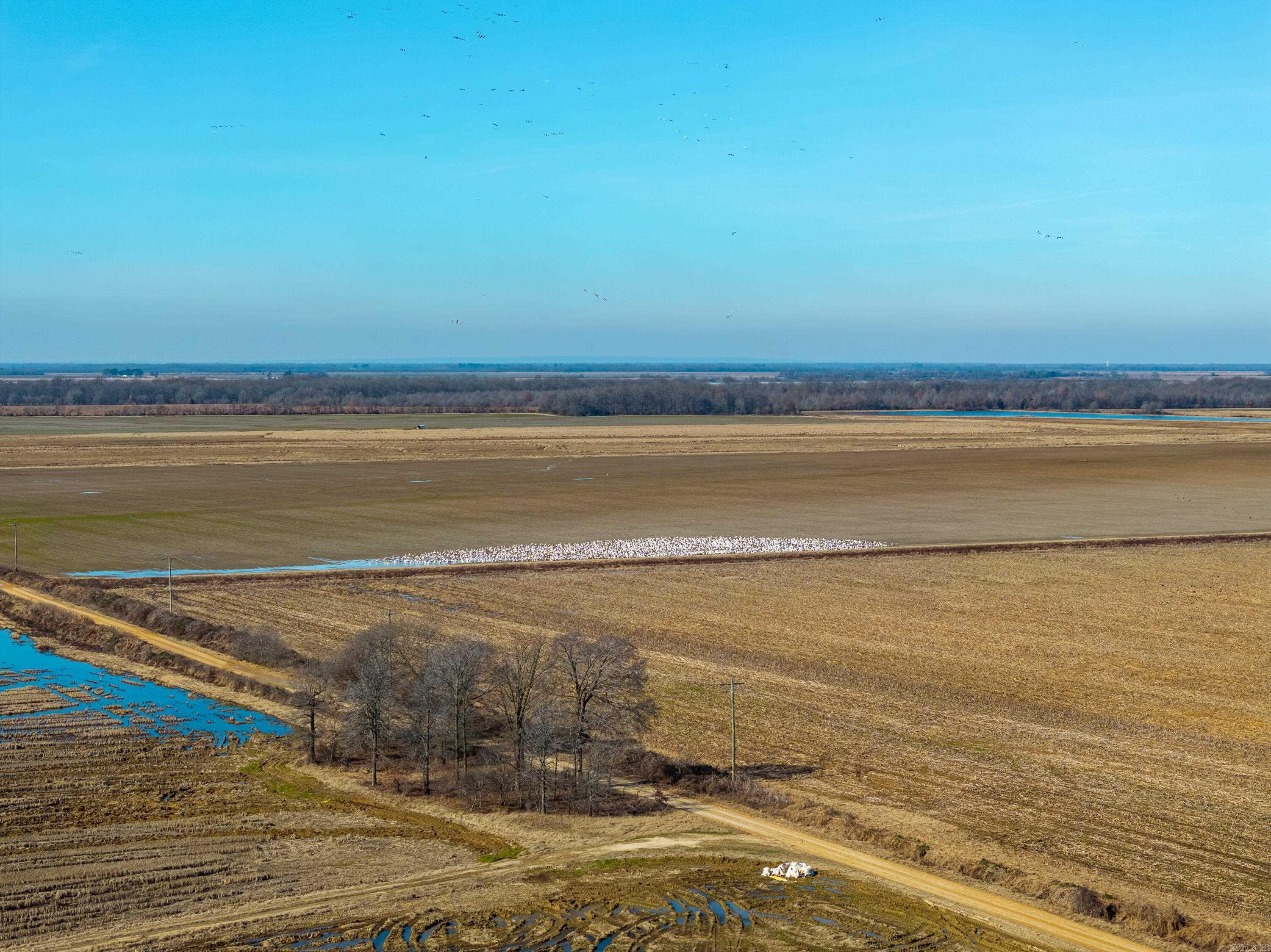 Metes & Bounds - Farm