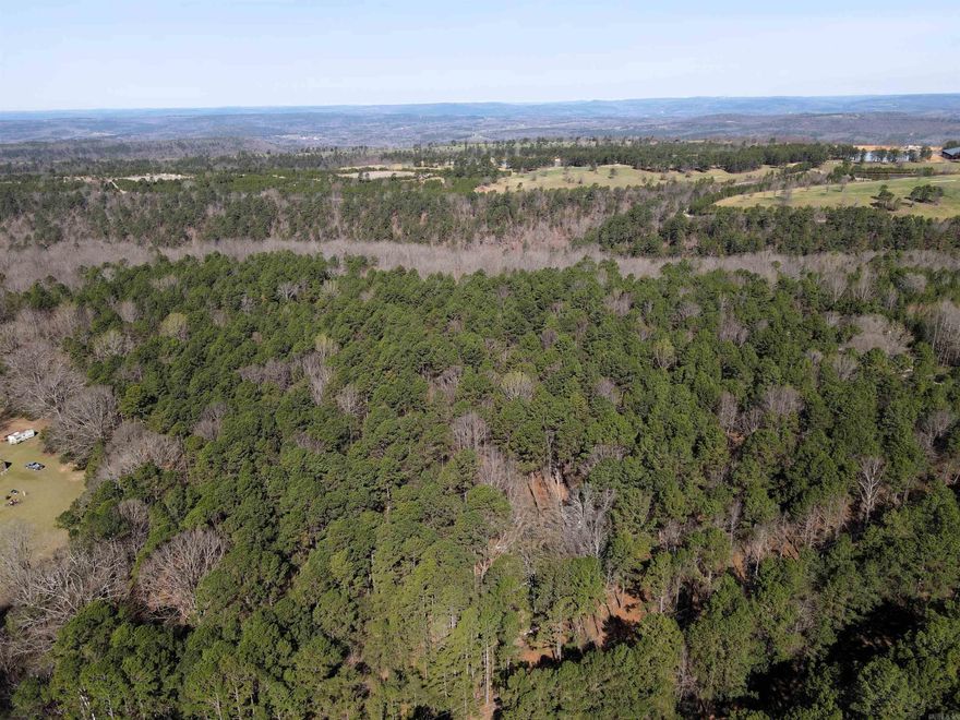 - 3.44 surveyed acres - Mixed age timber - Power, rural water, & fiber internet - Numerous build sites - Great hunting for deer, turkeys, and bears - Mostly flat topography - Paved road frontage - No restrictions - 11 miles to Damascus  - 13 miles to Clinton