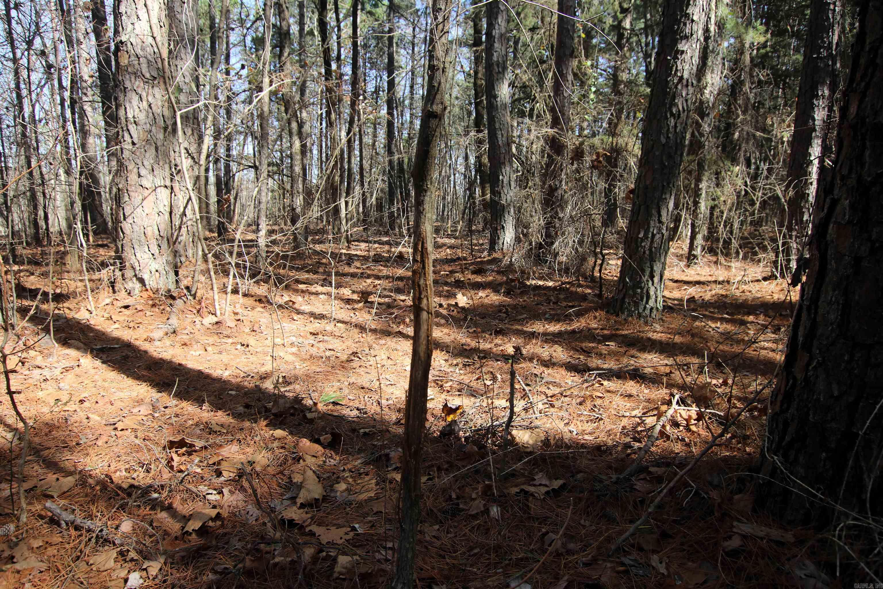 Not in Subdivision - Land