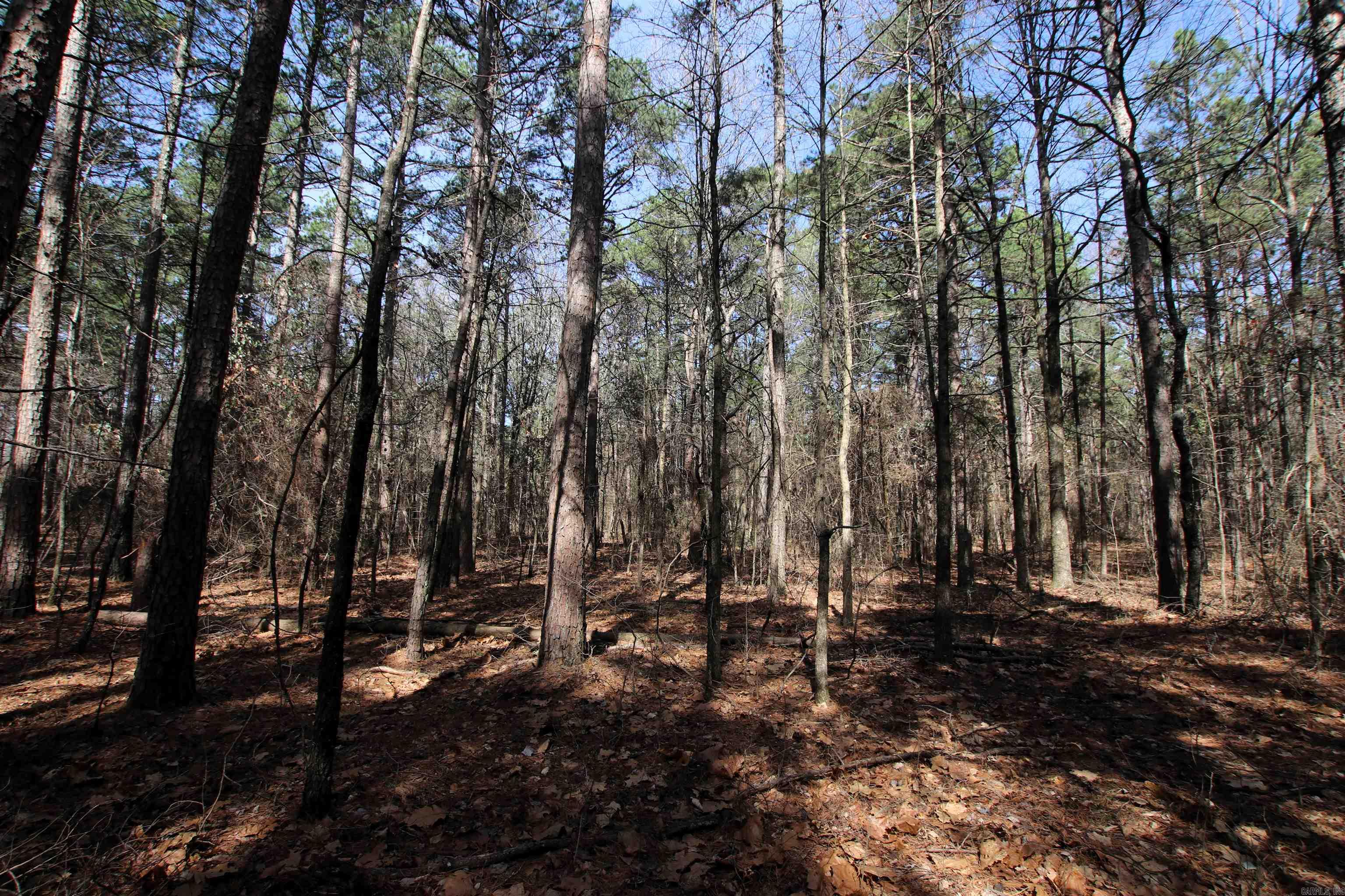 Not in Subdivision - Land