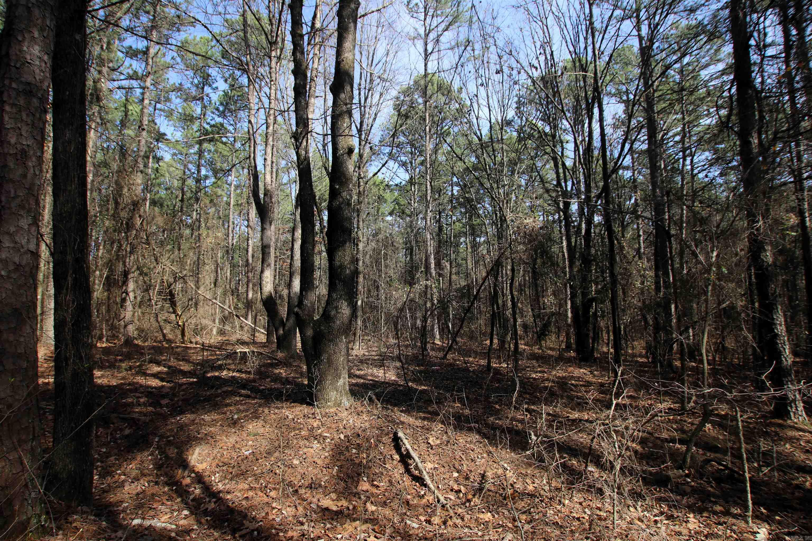 Not in Subdivision - Land