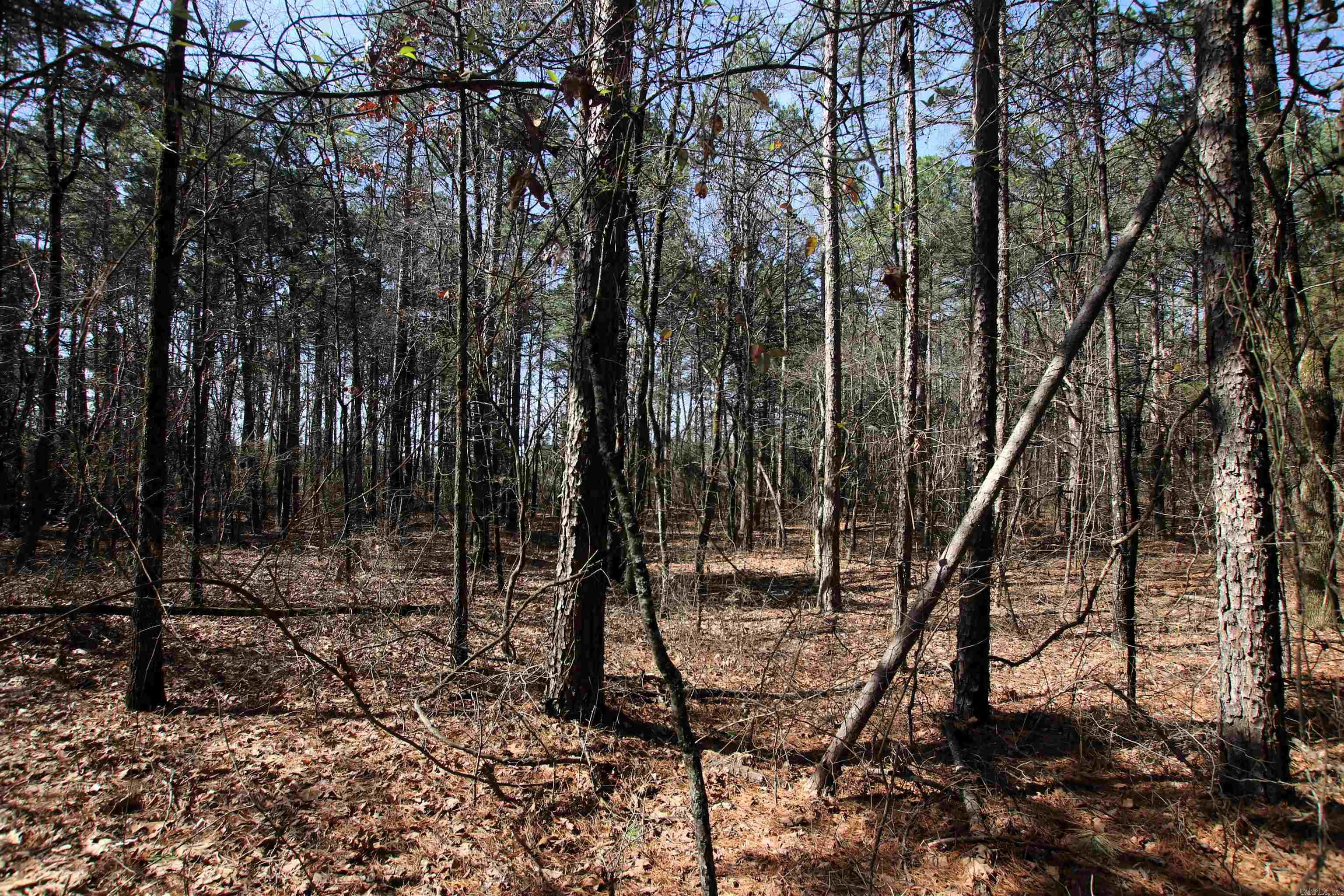 Not in Subdivision - Land