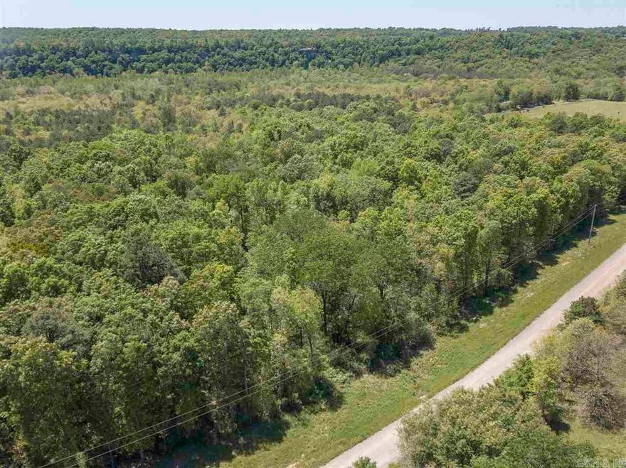 Great property in the country. Perfect spot to build your dream home. Call me today for additional information. Electric and water meter on the property. Property used to have a mobile home and still has a cleared spot for the driveway. Mineral rights do not convey.