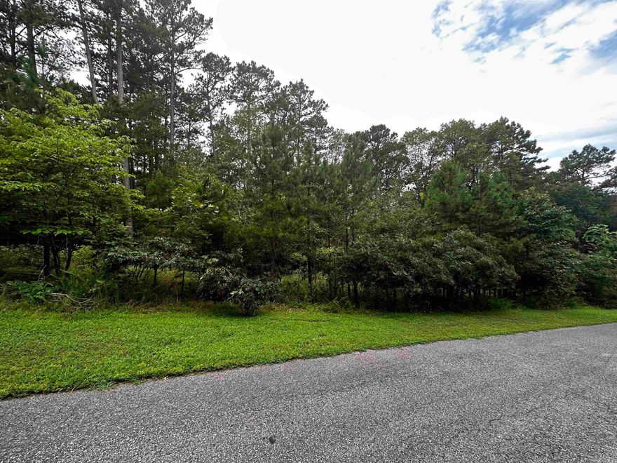 Great Neighborhood to build your dream home at the lake. Undergrounds utilities already in place!  Mineral rights do not convey.