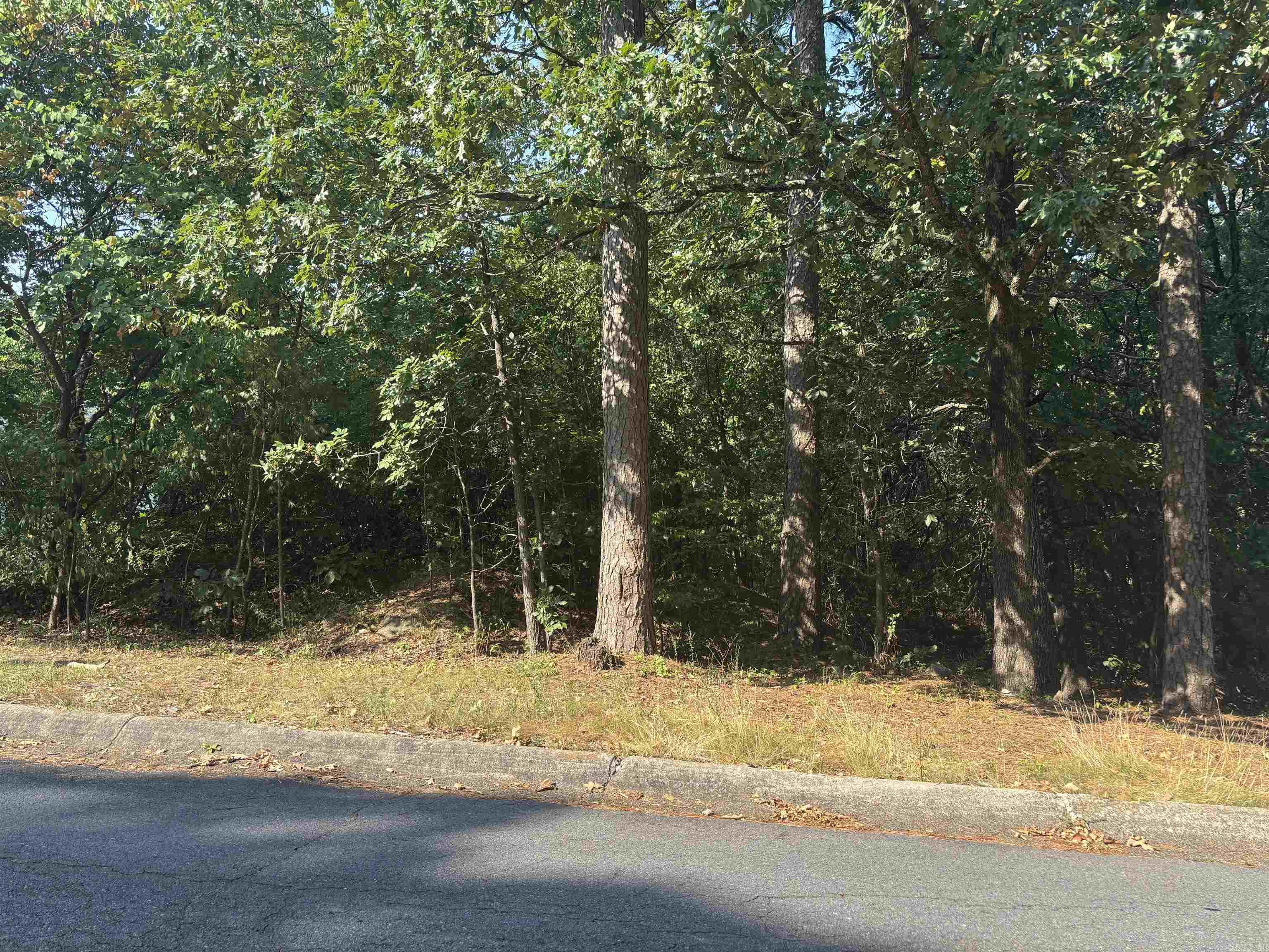 Vacant lot in West Little Rock's Hillsborough subdivision.