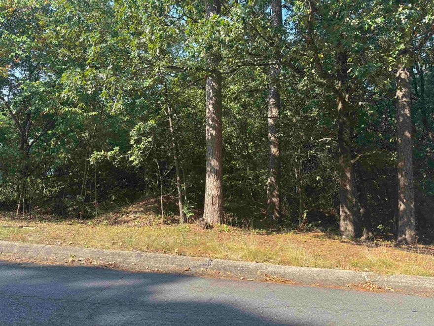Vacant lot in West Little Rock's Hillsborough subdivision.