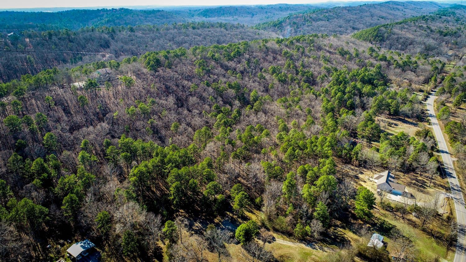 Beautiful wooded 10 +/- acres off Burlingame. Gently rolling hills to vista view on the backside of the property. Property has easement to Burlingame Road. Country living close to city amenities - just over 5 miles to the Promenade at Chenal. Come enjoy peace and quiet and view the wildlife!
