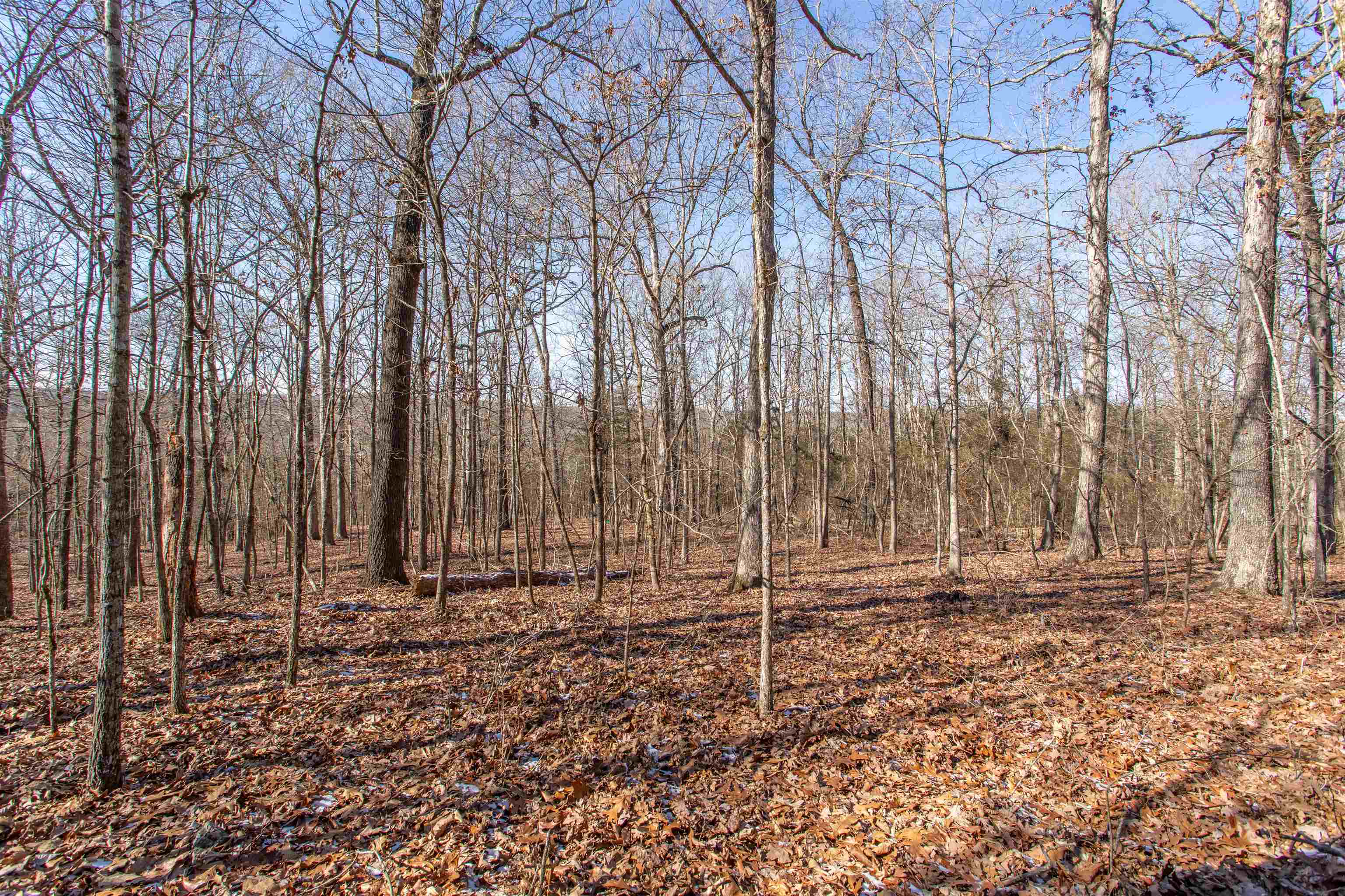 Mountain Valley Estates - Land