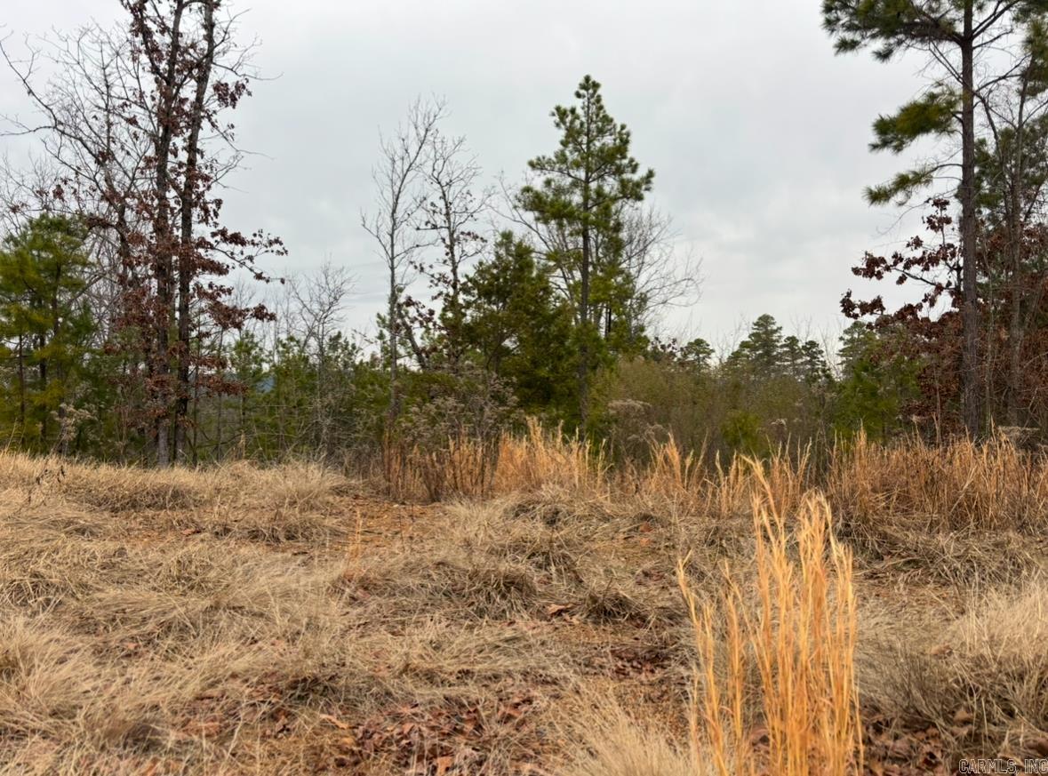 Waterview Estates provides incredible views of beautiful Lake Maumelle, Pinnacle, Mountain, the Ouachita National Forest and more. This community offers a variety of different lots and homes with abundant amenities.