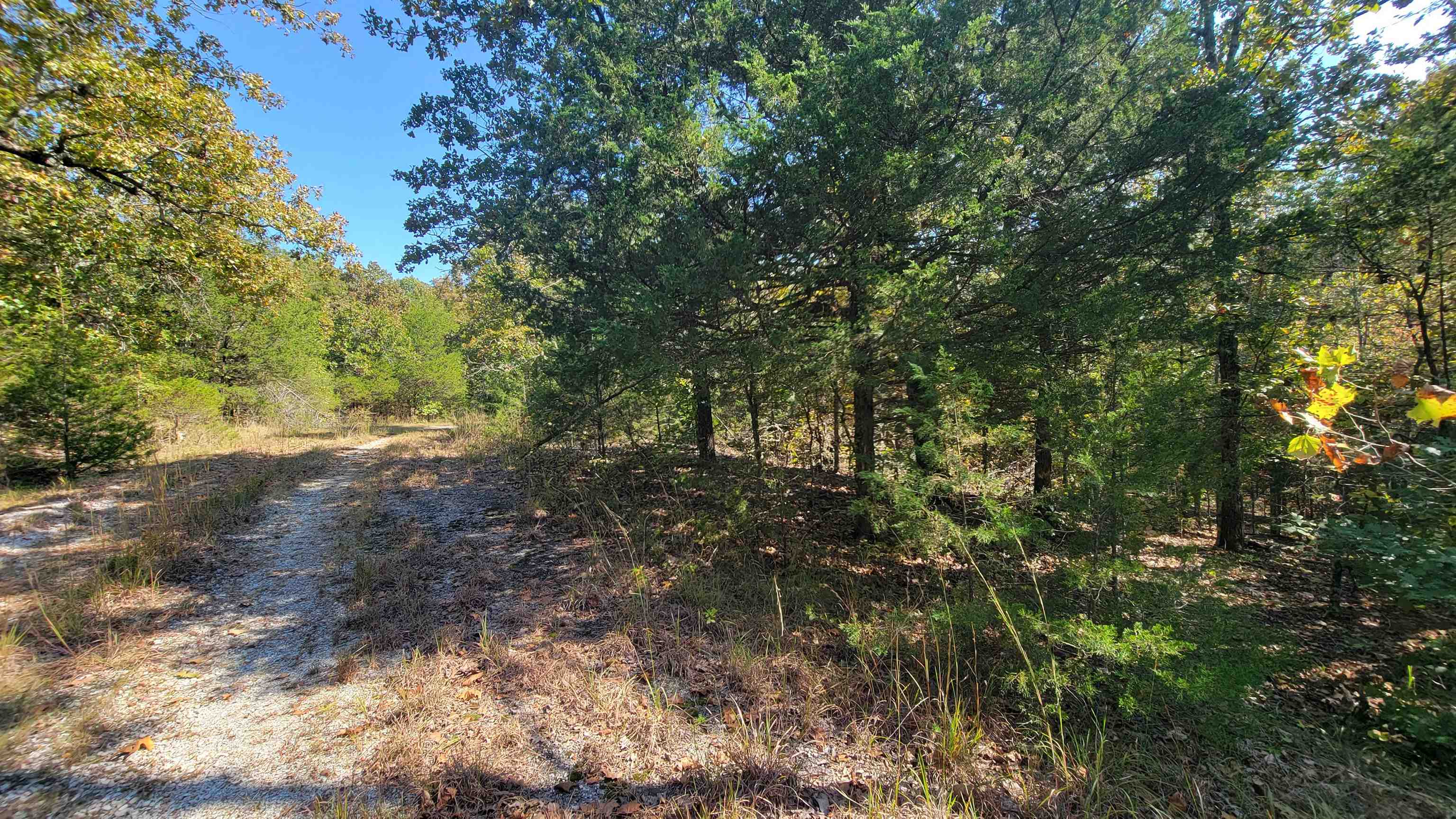 Beautiful lot in an area surrounded by trees and privacy! This lot affords privacy, yet is only 7 minutes from Cherokee Village Town Center. It has water and electric available nearby, so it is the perfect spot to build your dream! With the purchase of this lot, you gain access to the 7 lakes, 2 golf courses, and may other ammenities Cherokee Village has to offer. There is a minimum of 800 sq feet to build on this lot, so a tiny home would be perfect! The structure will need to be permenant and no mobiles or campers are allowed as dwellings. There is a copy of the Bill of Assurance available online at cherokeevillage.org.