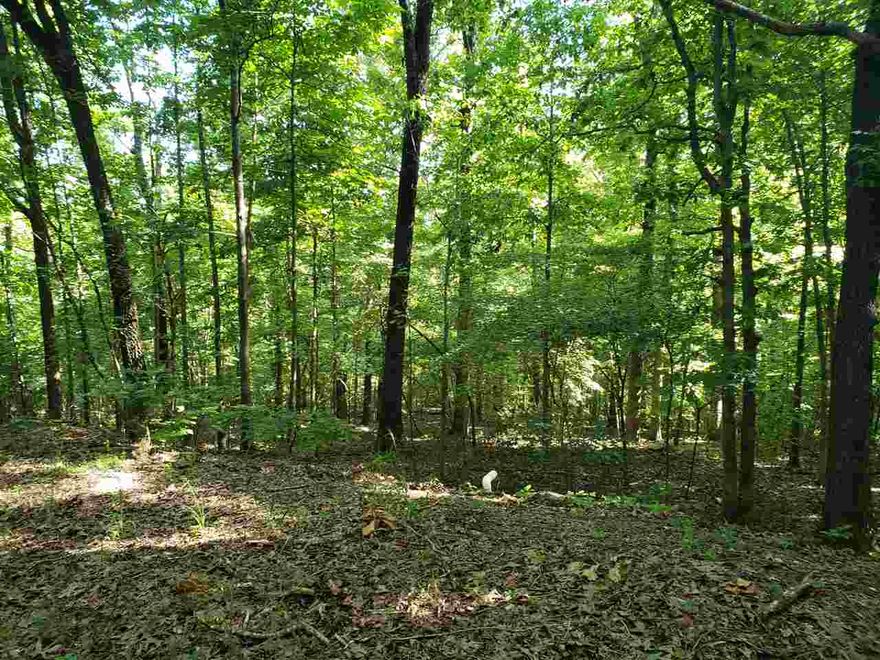 Here is a wonderful, Super-secluded, wooded lot in the Fulton County side of the Cherokee Village. Great location near Lake Omaha and the Omaha Center and not far from the South golf course as well. With this lot comes access to all the amenities of Cherokee Village such as the seven lakes, the Southfork river and Two 18-hole golf courses. Don't miss your opportunity to own your own little slice of "Heaven on Earth" in beautiful Cherokee Village. Come for a visit and stay for a lifetime.       This lot is 1 of 7 that can be purchased individually for $2500.00, or  purchase all 7 as a package deal for a discounted price of $2136.00 each. ------See Agents Remarks for information on the other 6 lots------   Owner financing is possible with acceptable down payment and terms.  Owners are also open to possible trades.