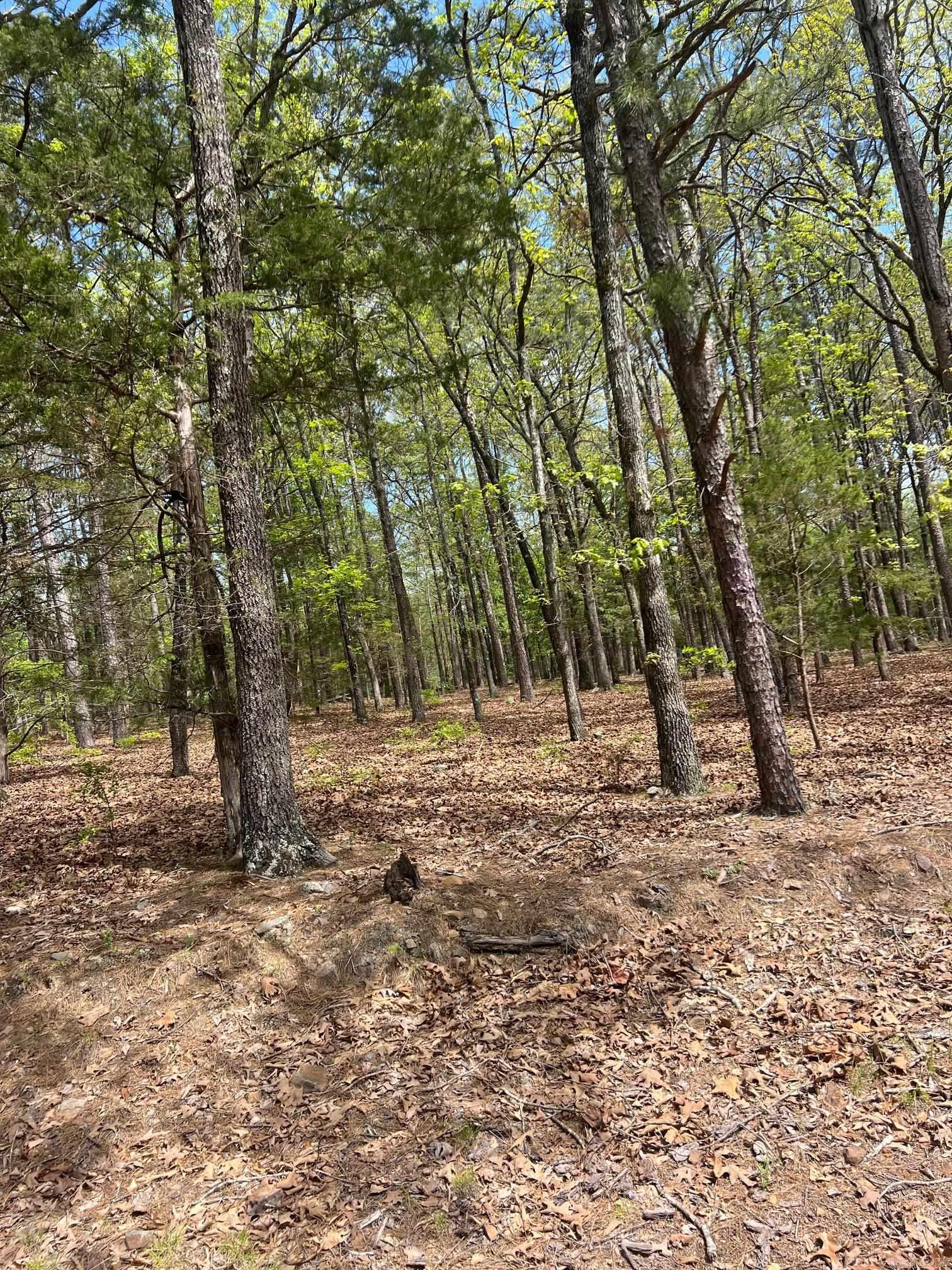 Mystic Isle - Residential