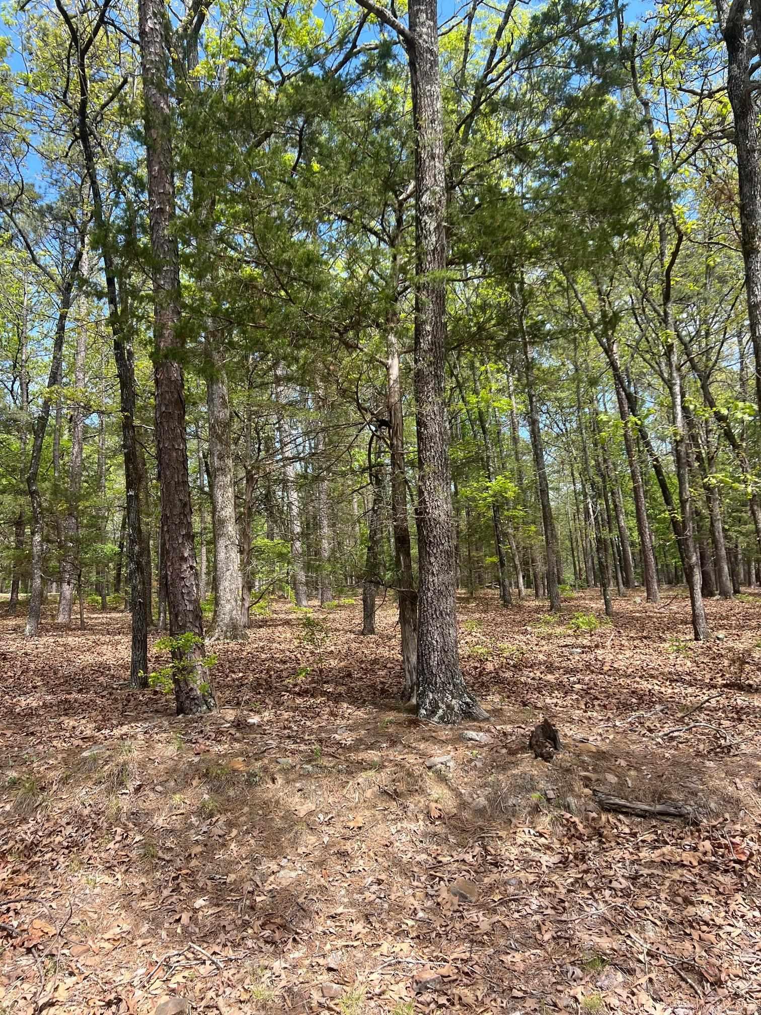 Mystic Isle - Residential