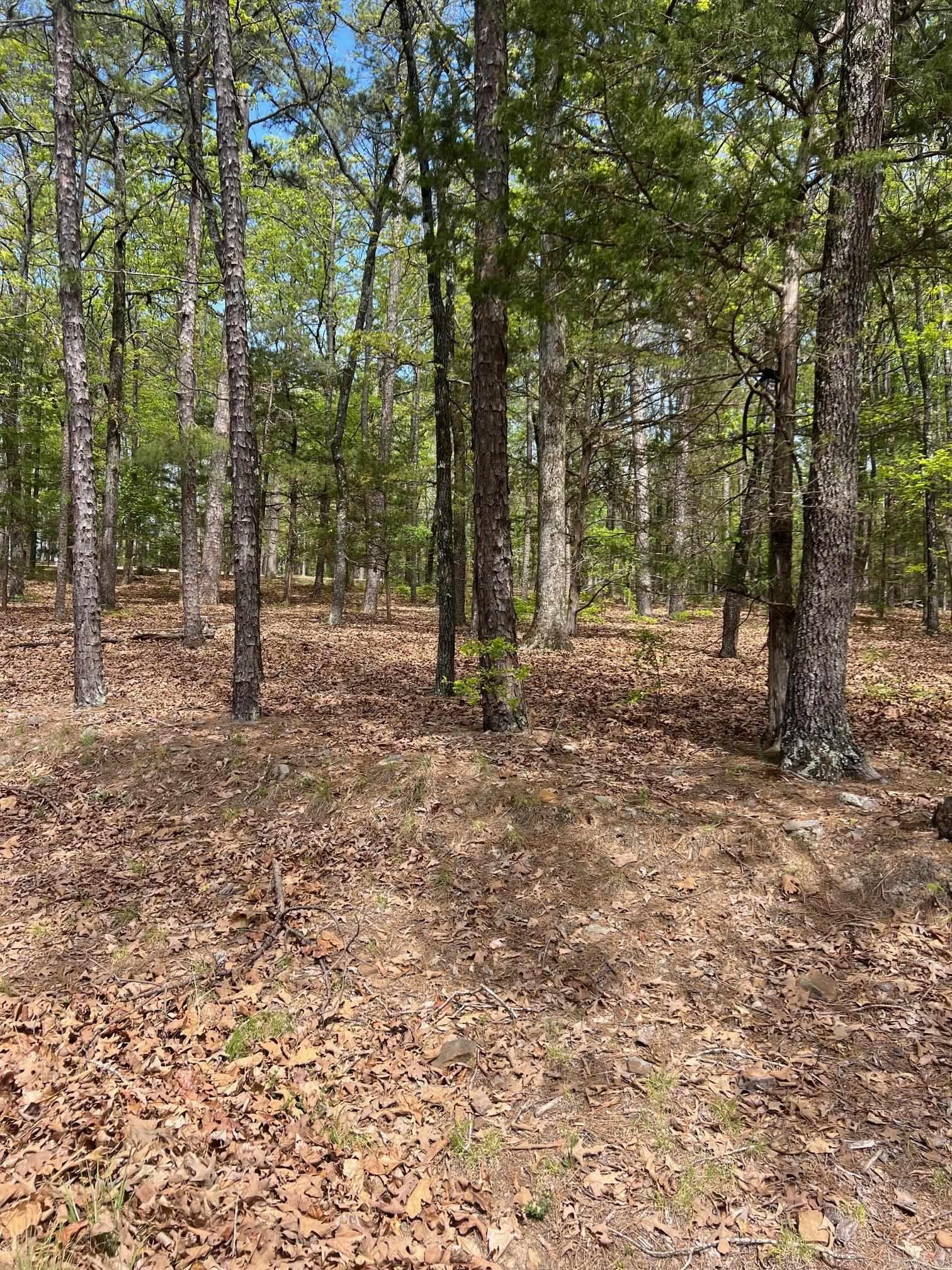 Mystic Isle - Residential