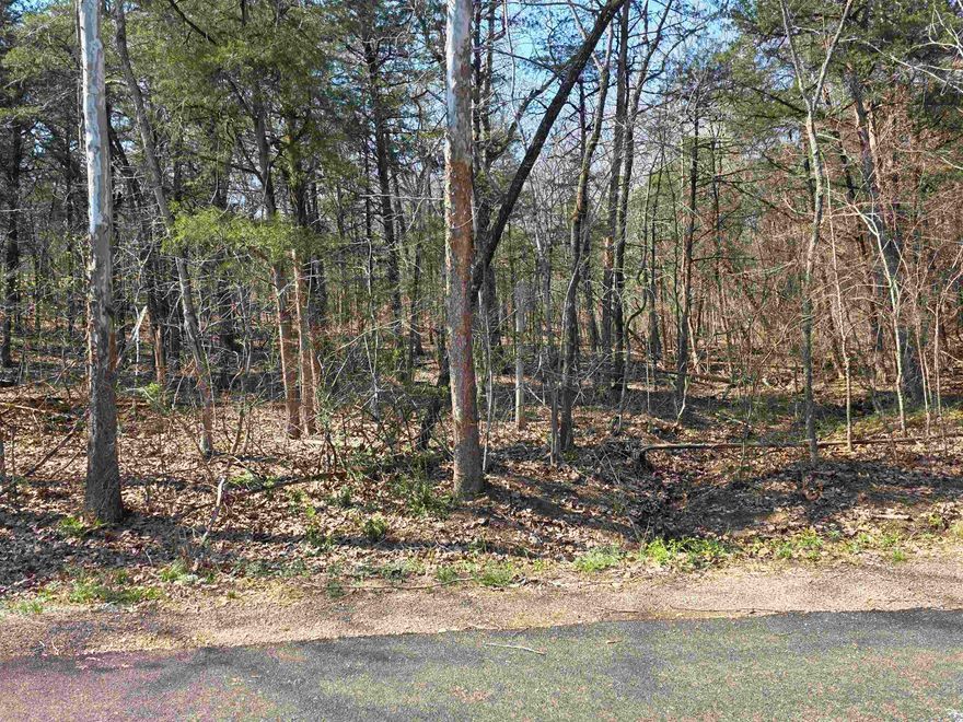 Nice large lot with a gentle front to back upward slope. This lot sits up well above the road. Lots of trees and lots of nature and wildlife. There is wet weather creek on the right-side property line. Come check this lot out, check out the view and see where you want to put your vacation home or your forever home. Retire here and fish 7 different lakes and golf 2 different 18-hole golf courses. Don't forget about the beautiful South Fork River that flows right through the Village. Shop in Old Hardy town and trout fish the Spring River. That's living the Cherokee Village lifestyle.