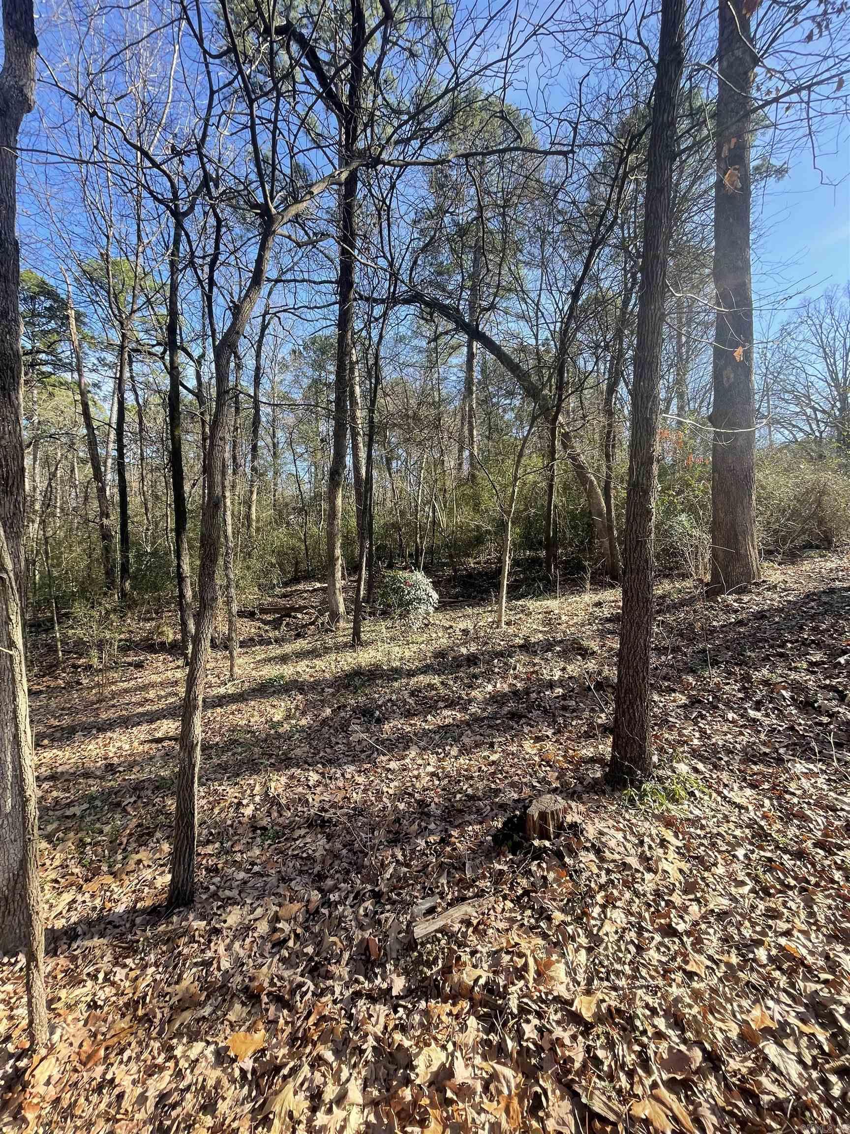 1 Acre of land in West Little Rock. The land would be sits behind cul-de-sac and would be good for an investor. Buyer would access road off of Sam Peck to access the property.