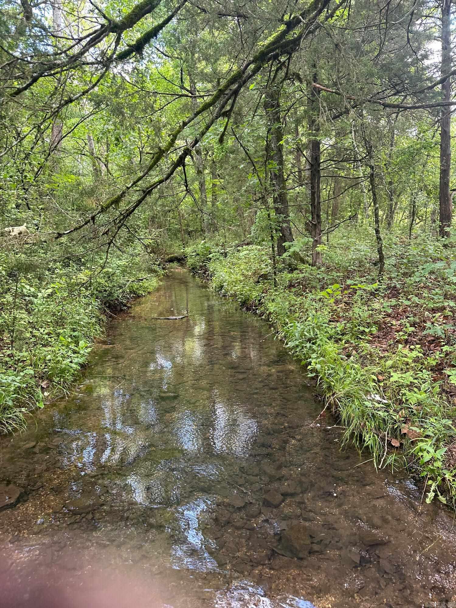 Mammoth Spring - Land