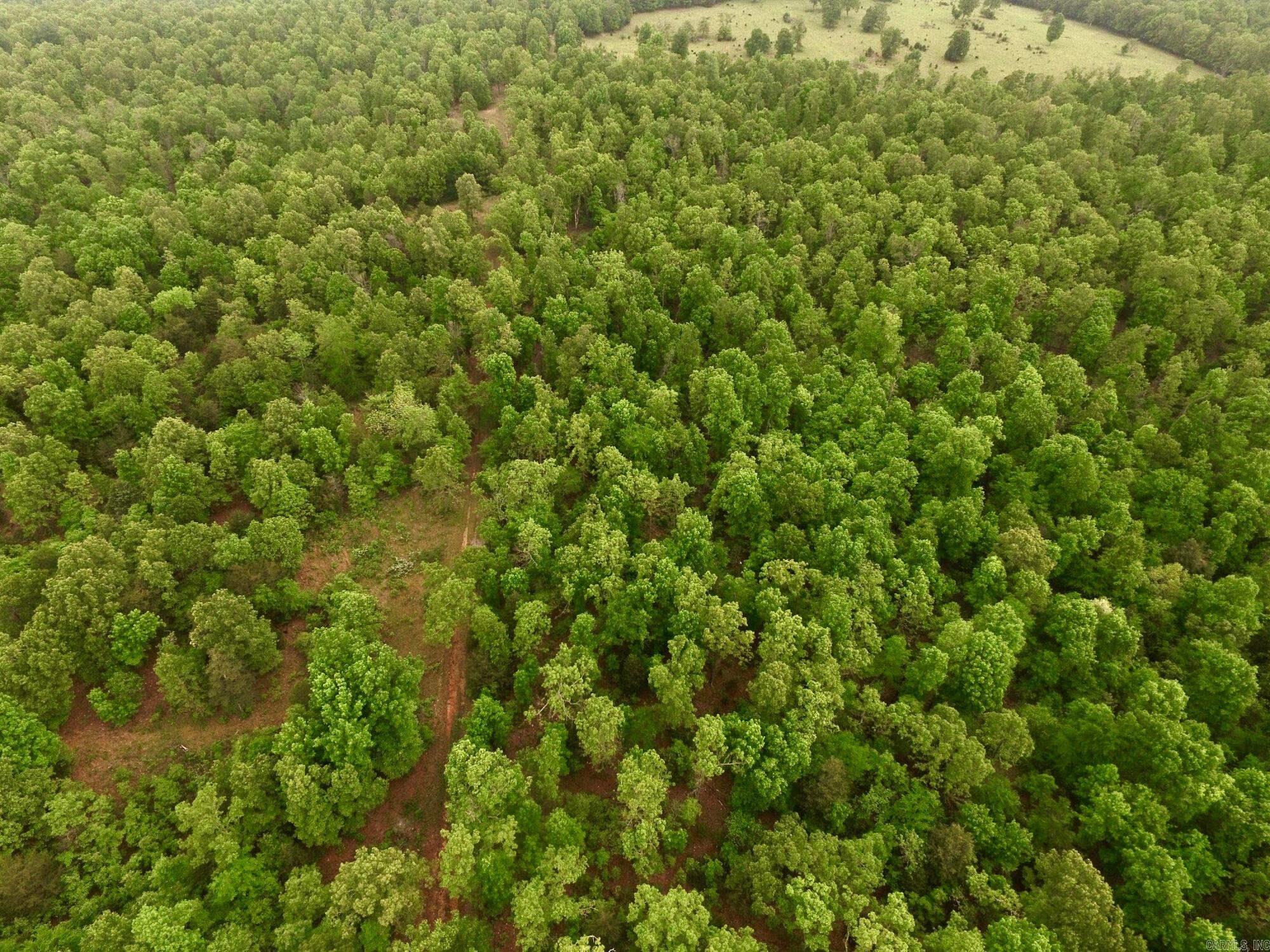 Mammoth Spring - Land