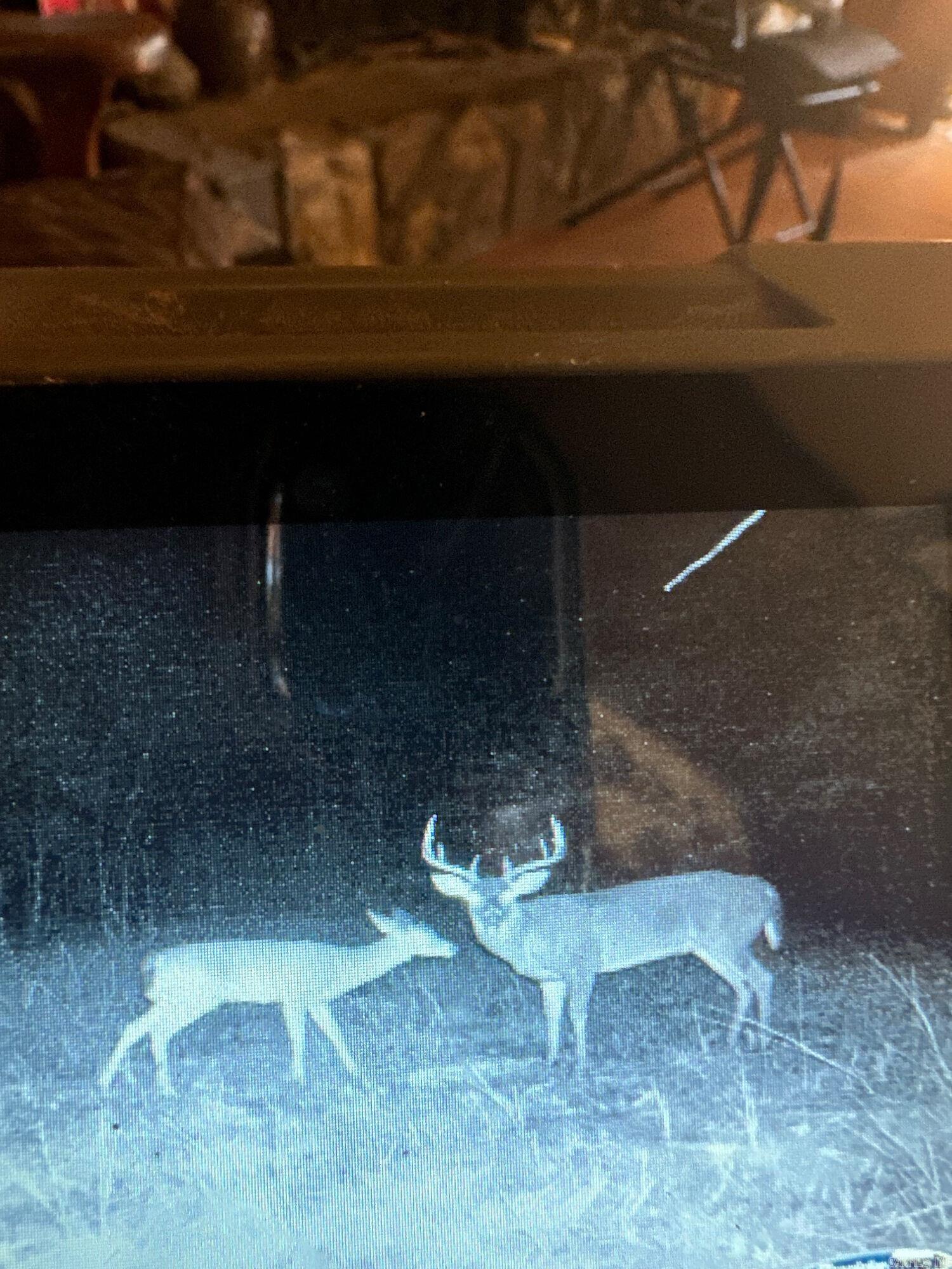 Mammoth Spring - Land