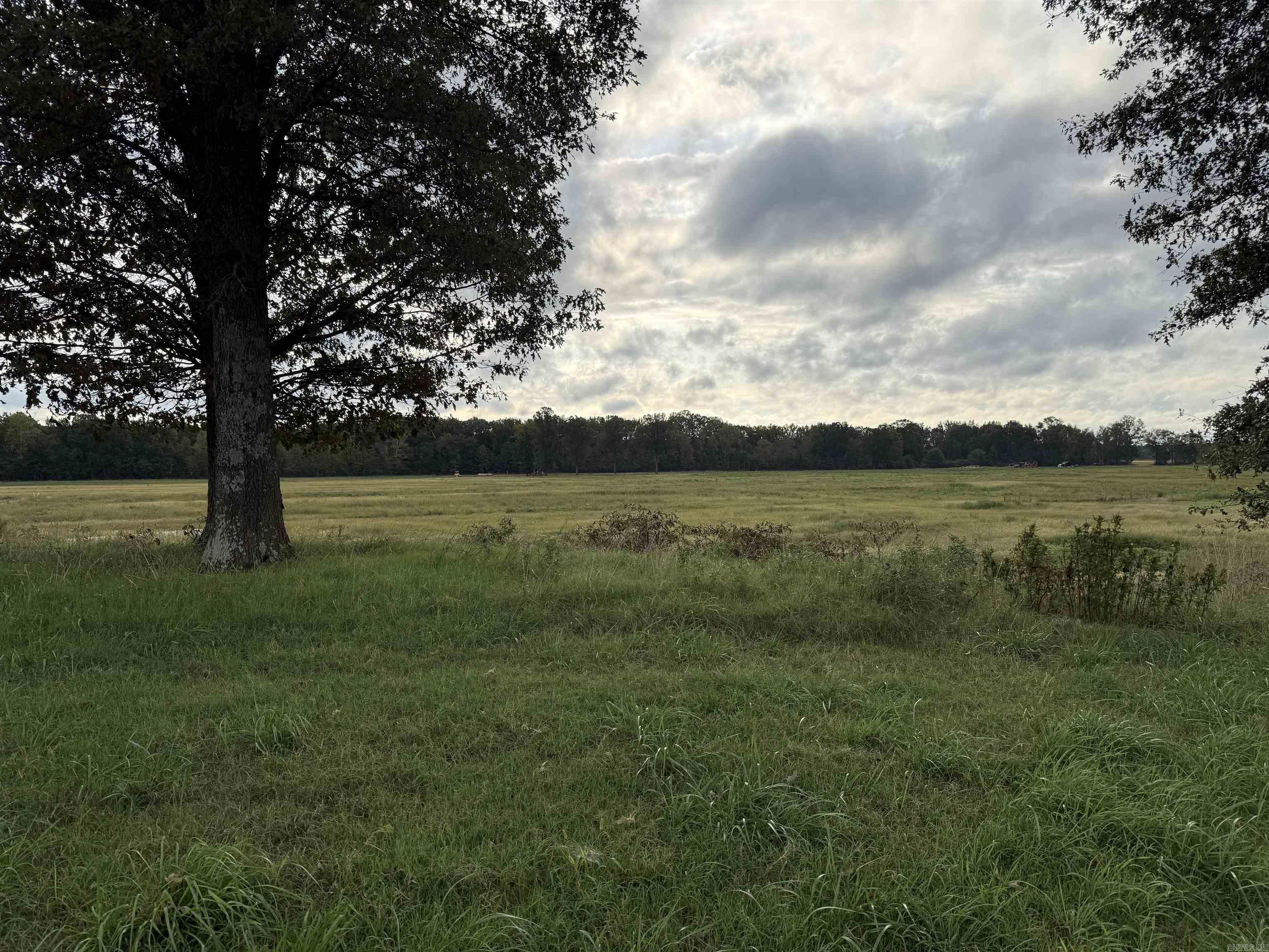 Golden Valley - Land