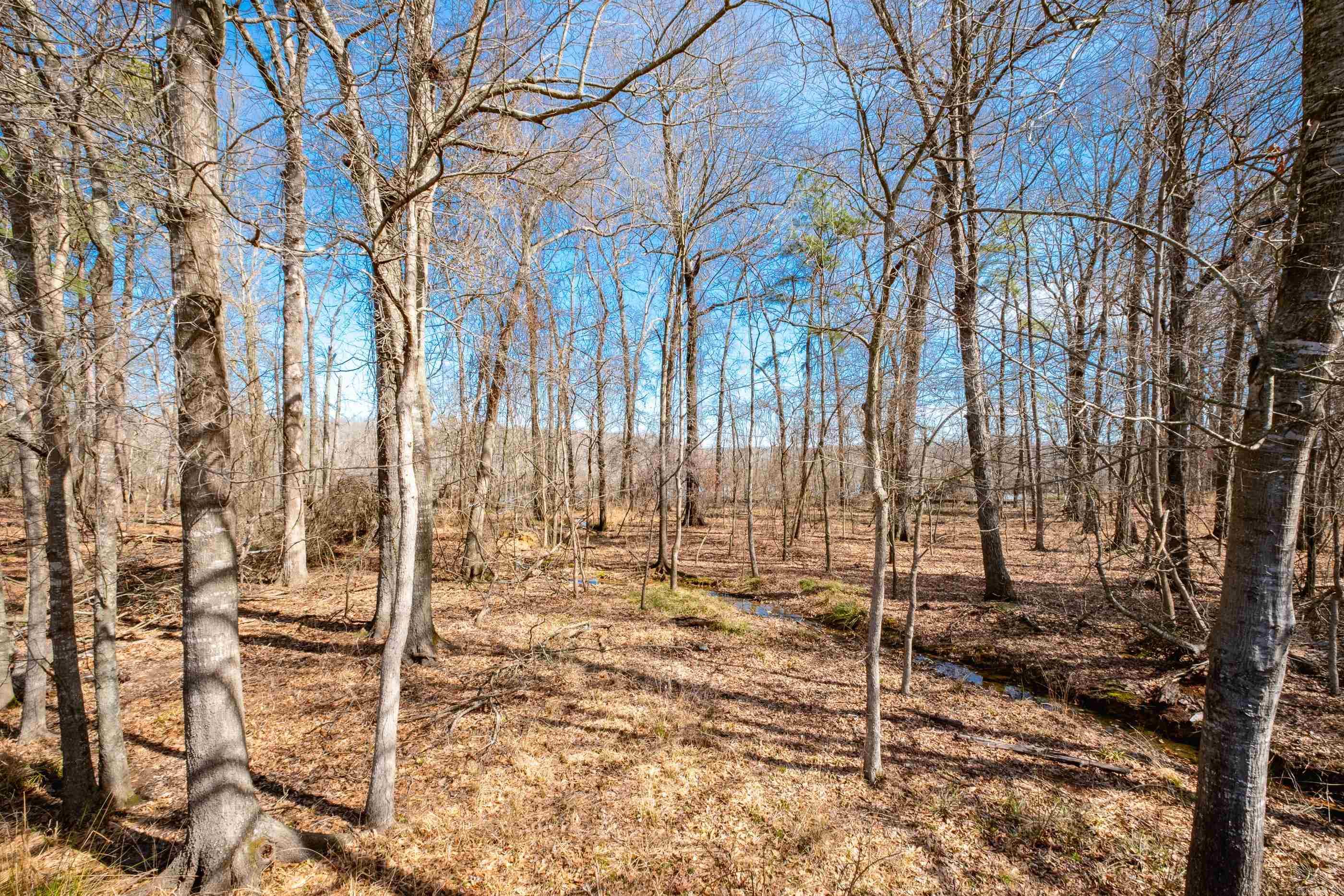 COUNTRY CLUB OF ARK THE - Residential