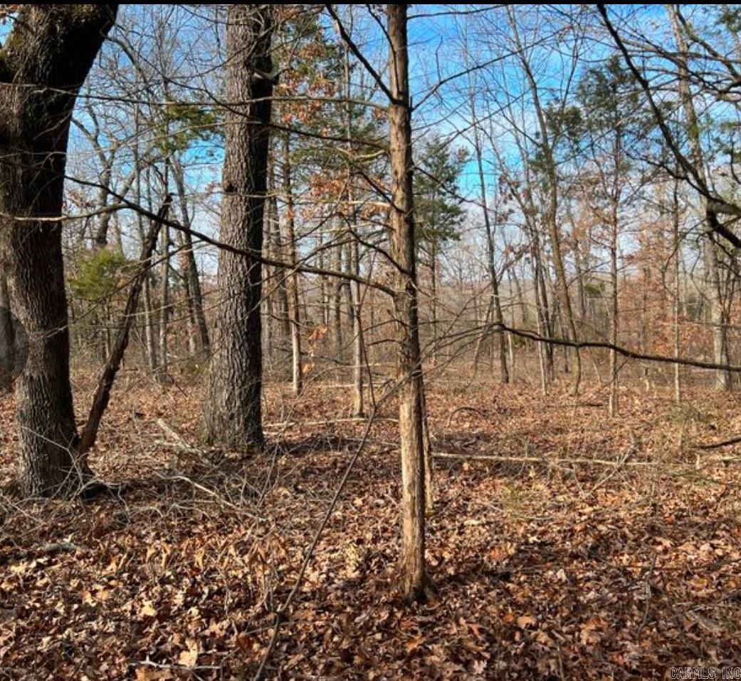 Executive - Land