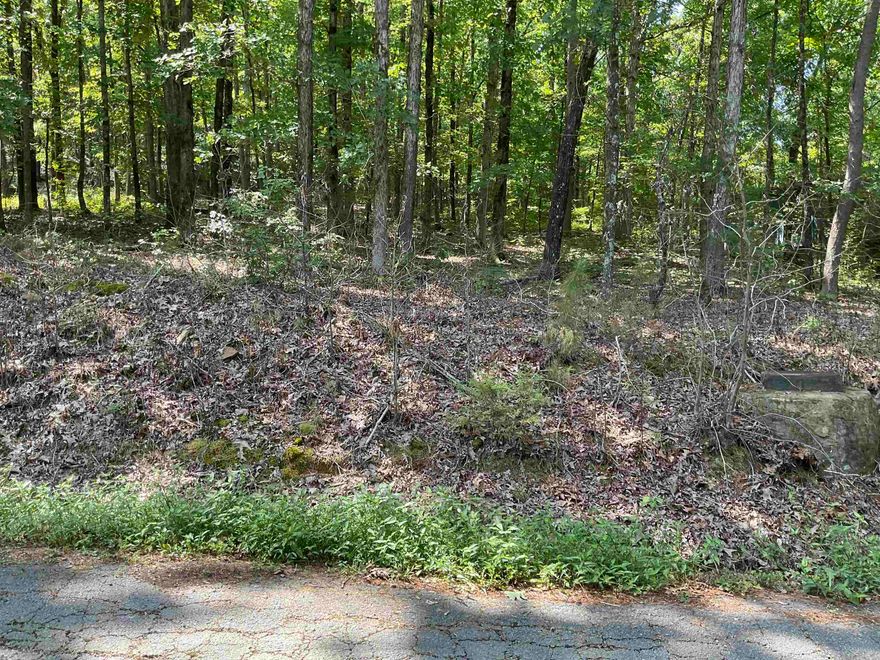 Build your forever home or week-end get-away,  on this sloping, wooded lot located near all of the amenities that Heber Springs has to offer.  Subdivision has a "vacation" feel.  Heber Springs water, sewer, high speed internet are all available.  NO MOBILES ALLOWED. .  Minimum build is 1000 sf.  Plat and Bill of Assurance are available in Associated Documents.