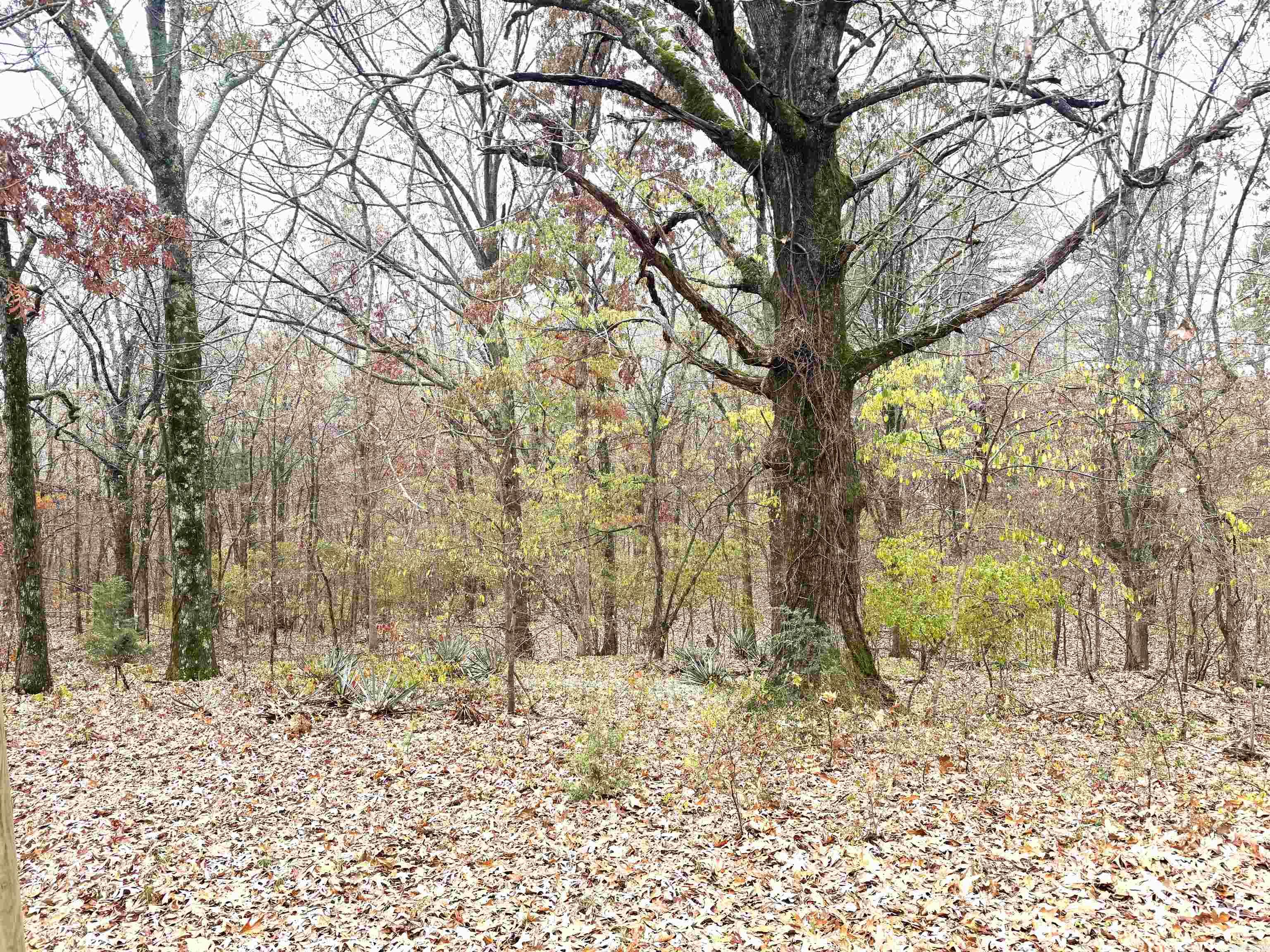 HOMESITE - Residential