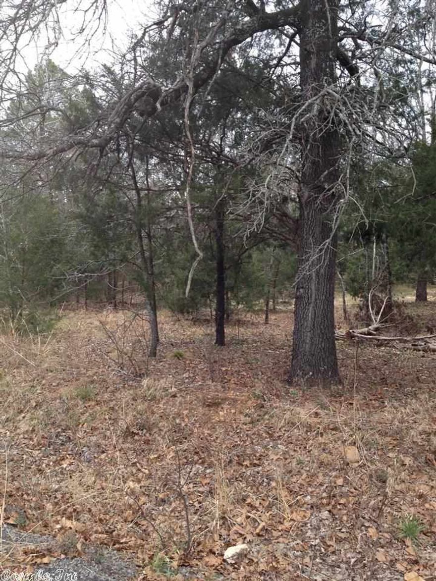 Great Building Lot, city water (Conway Corp). Paved road. Lot has been perked for 1500-1600 sq. ft. house (Will need pump with septic system.) In water district #11 approx. $450.00 year including real estate taxes.