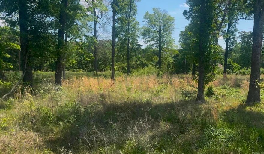 This is it! This is the peaceful land where you build your home! Gorgeous property in the Lonoke School District. Situated in the county between Cabot and Lonoke. Just close enough but far enough away to feel the quit breeze. water and electric at the road. Grab your Real Estate Agent and come see it now!